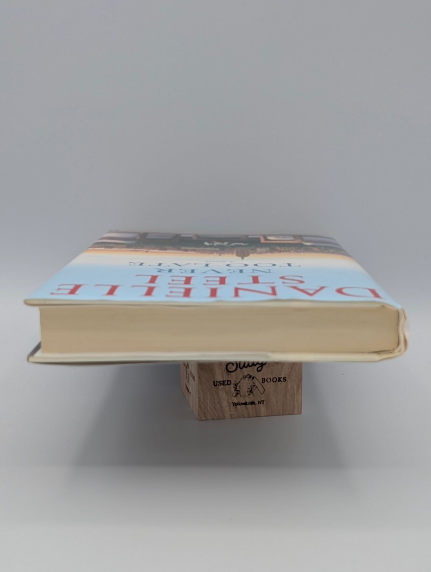 Never Too Late: A Novel