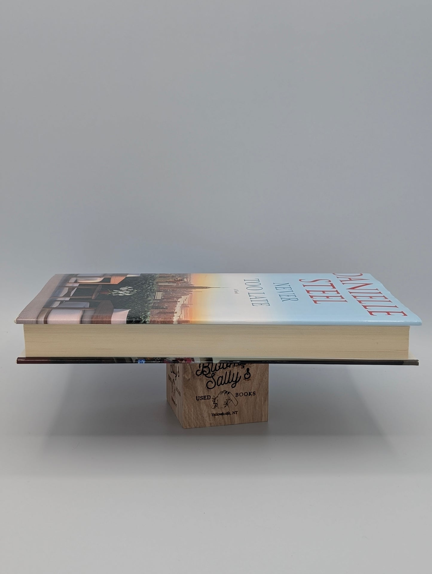 Never Too Late: A Novel