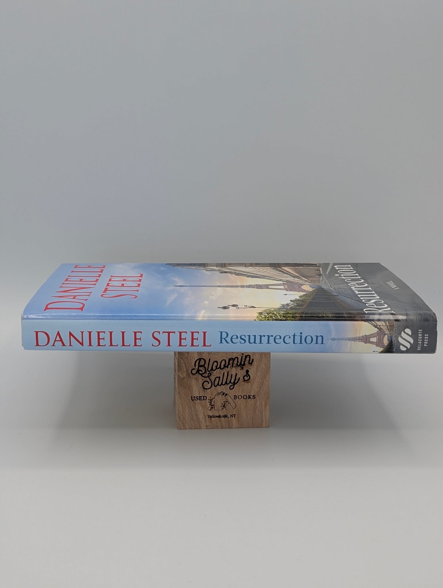 Resurrection: A Novel