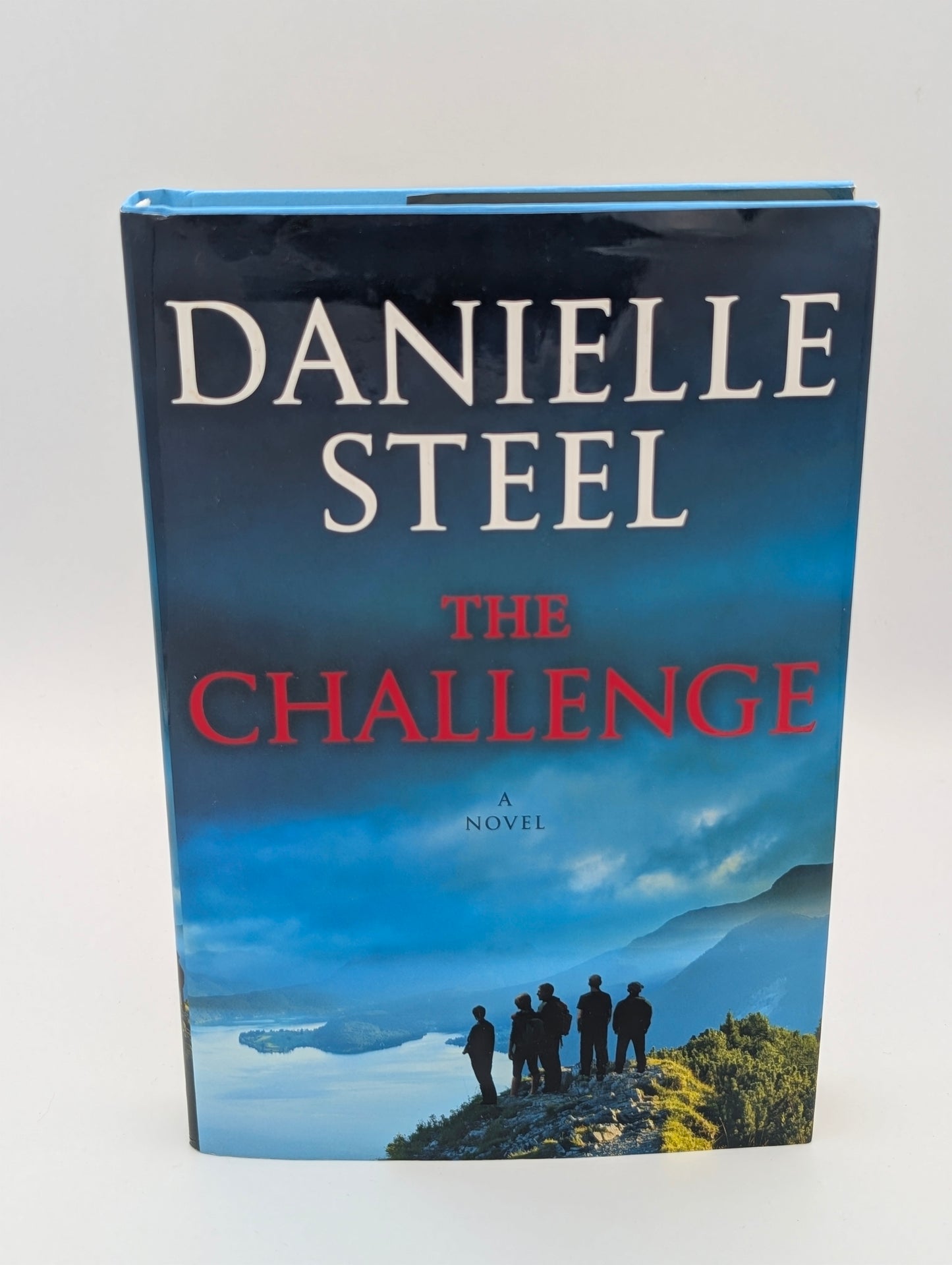 The Challenge: A Novel