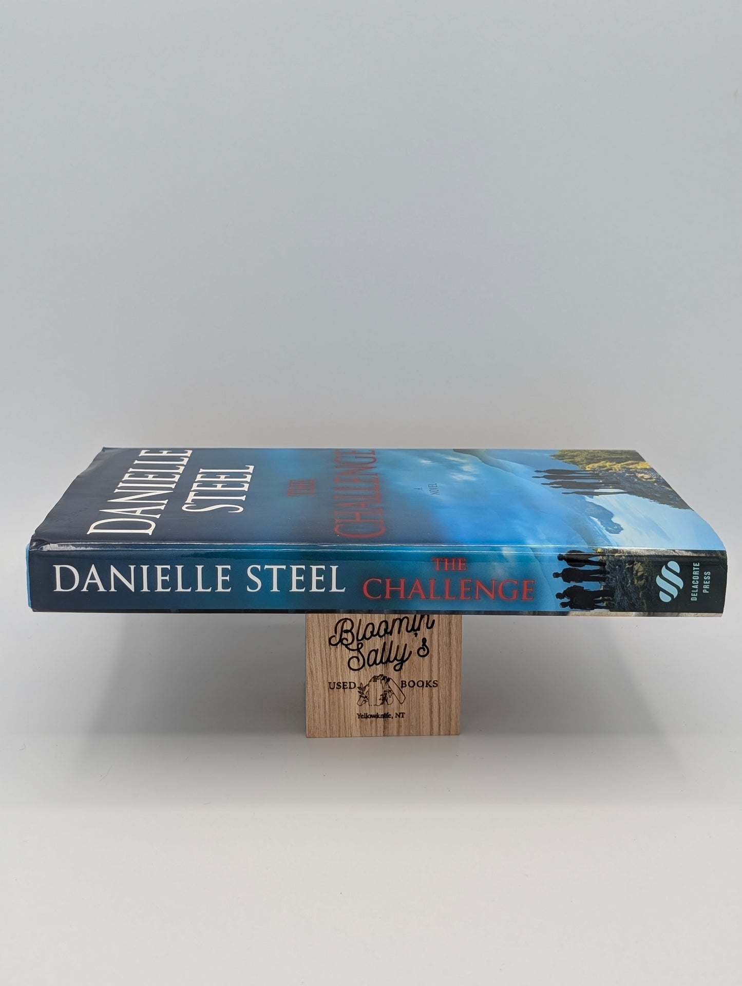 The Challenge: A Novel