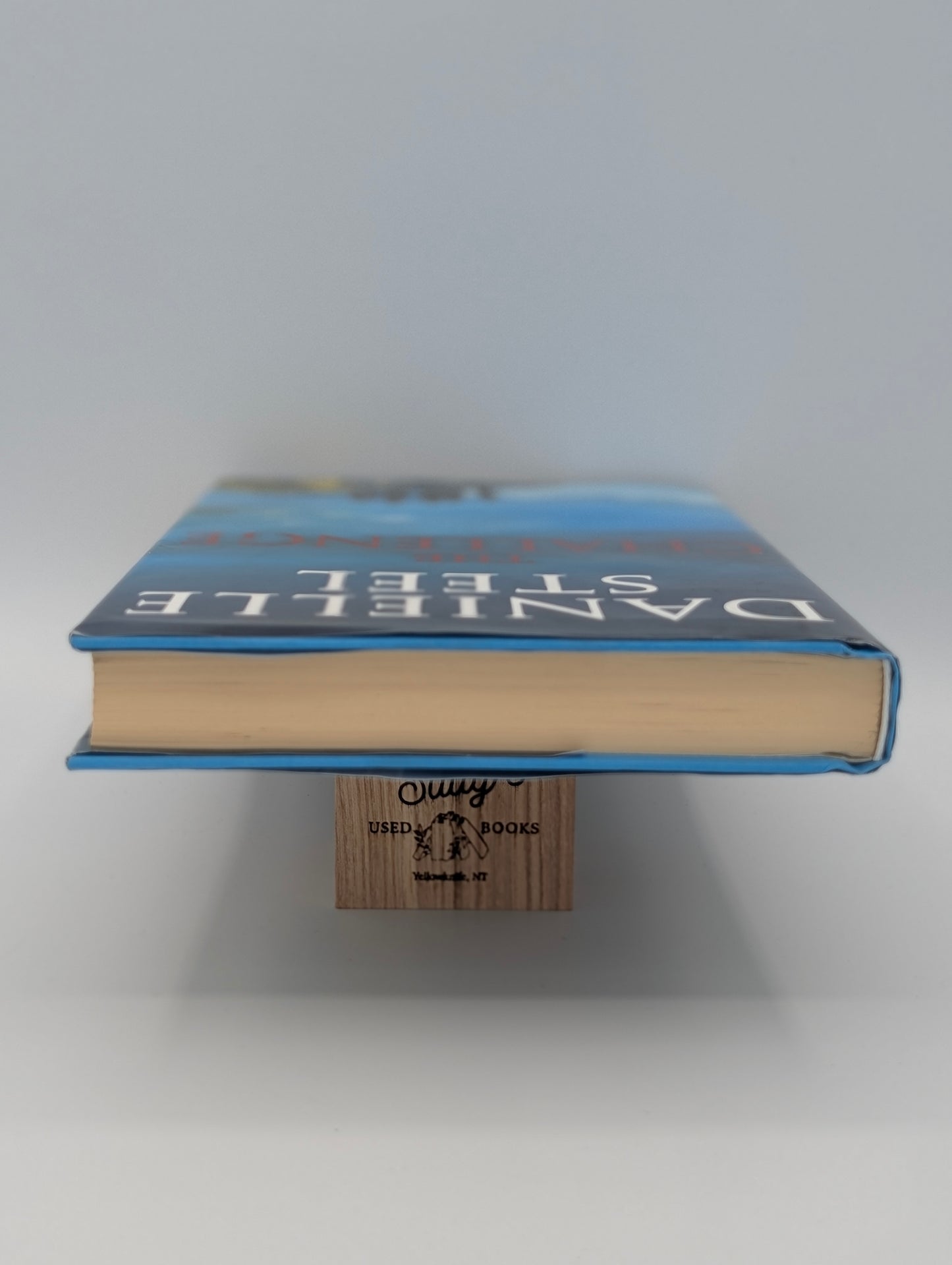 The Challenge: A Novel