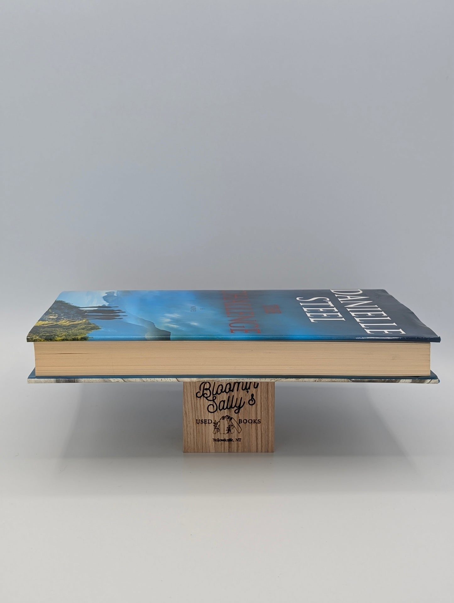 The Challenge: A Novel