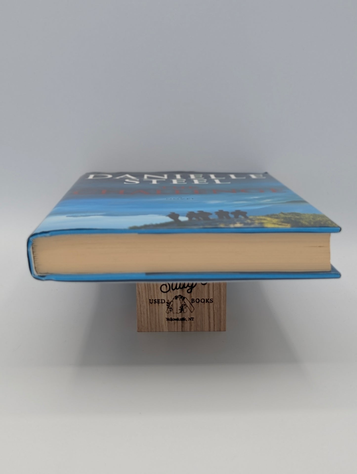 The Challenge: A Novel
