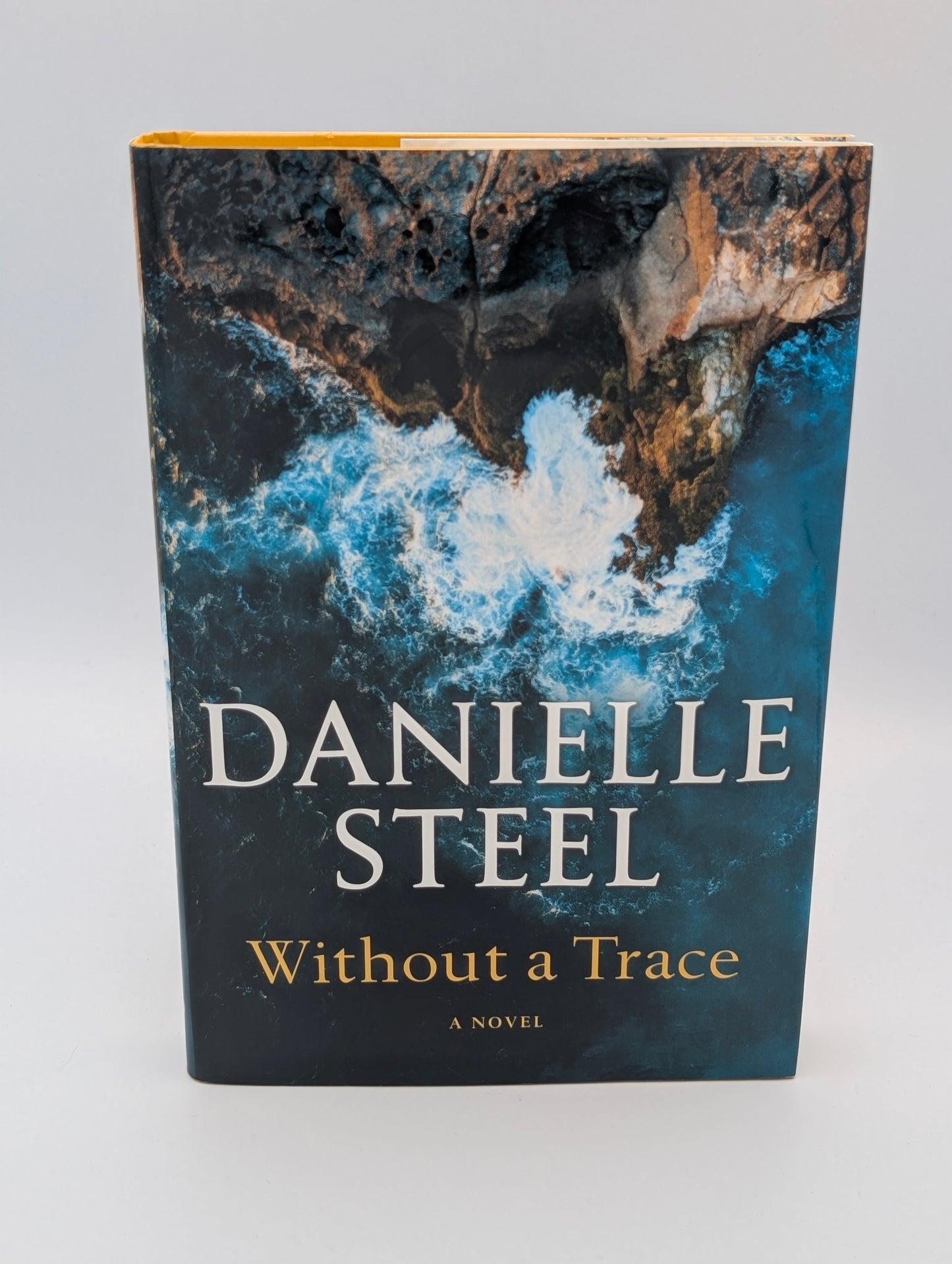 Without a Trace: A Novel