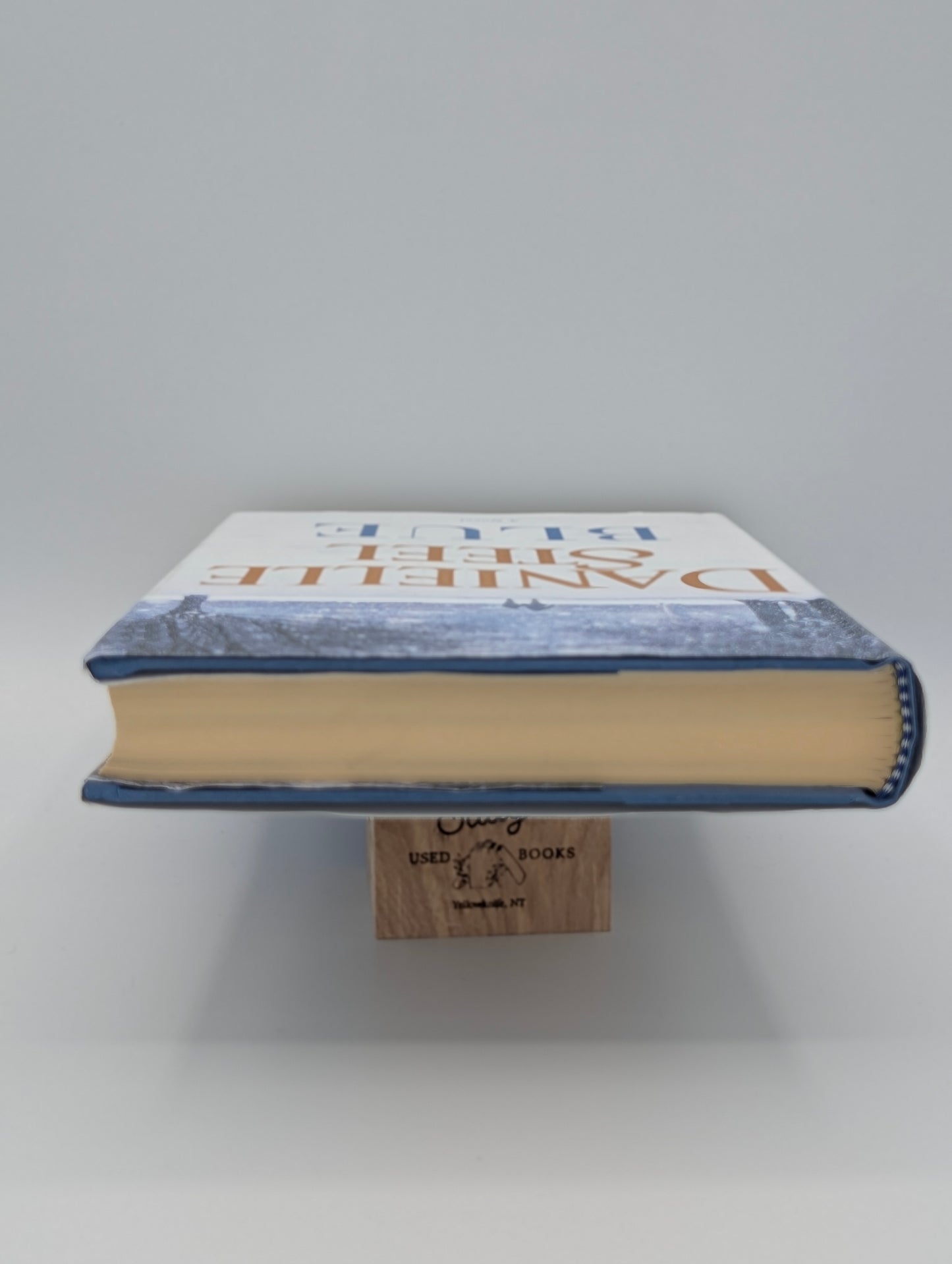 Blue: A Novel