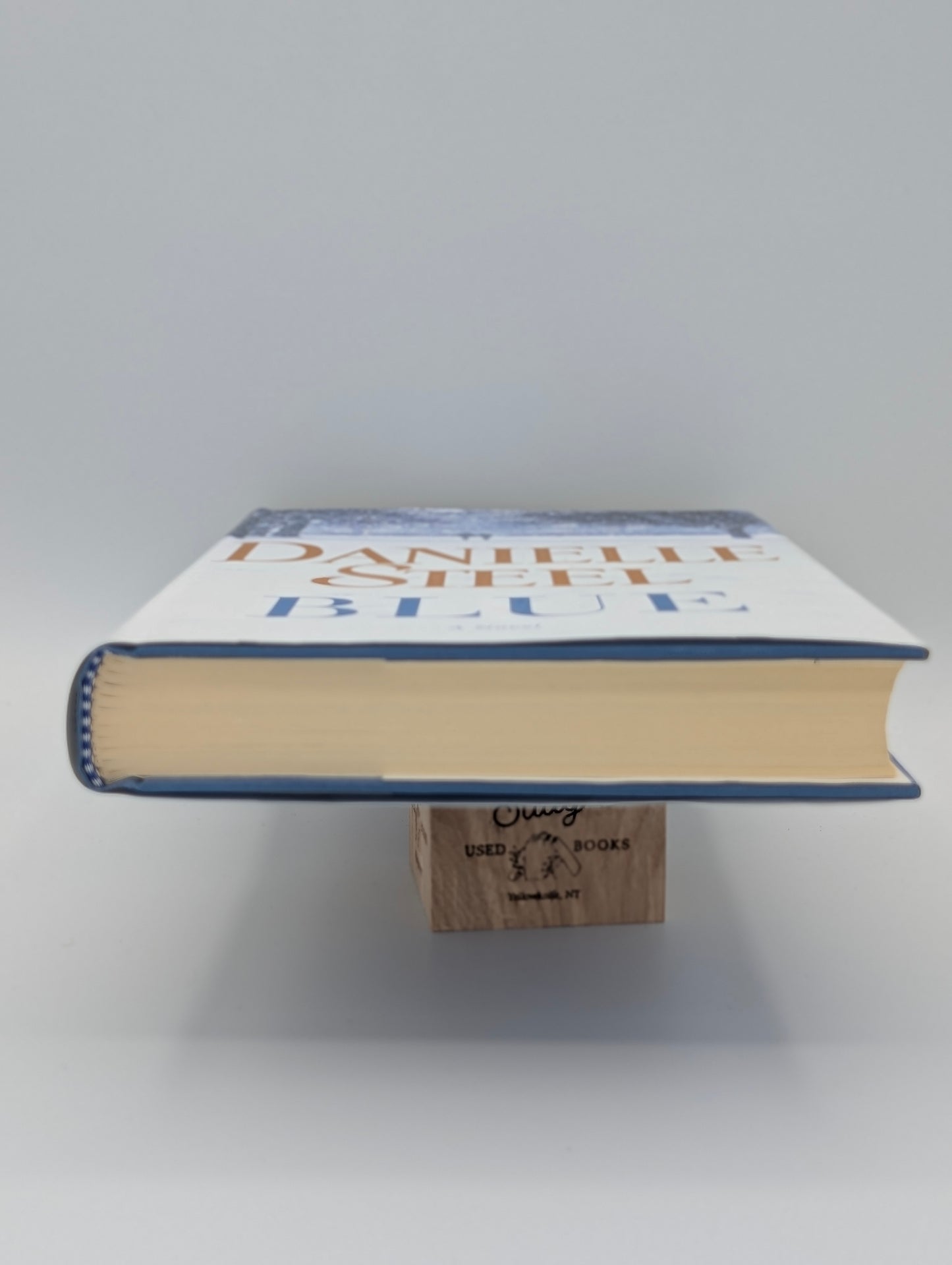 Blue: A Novel