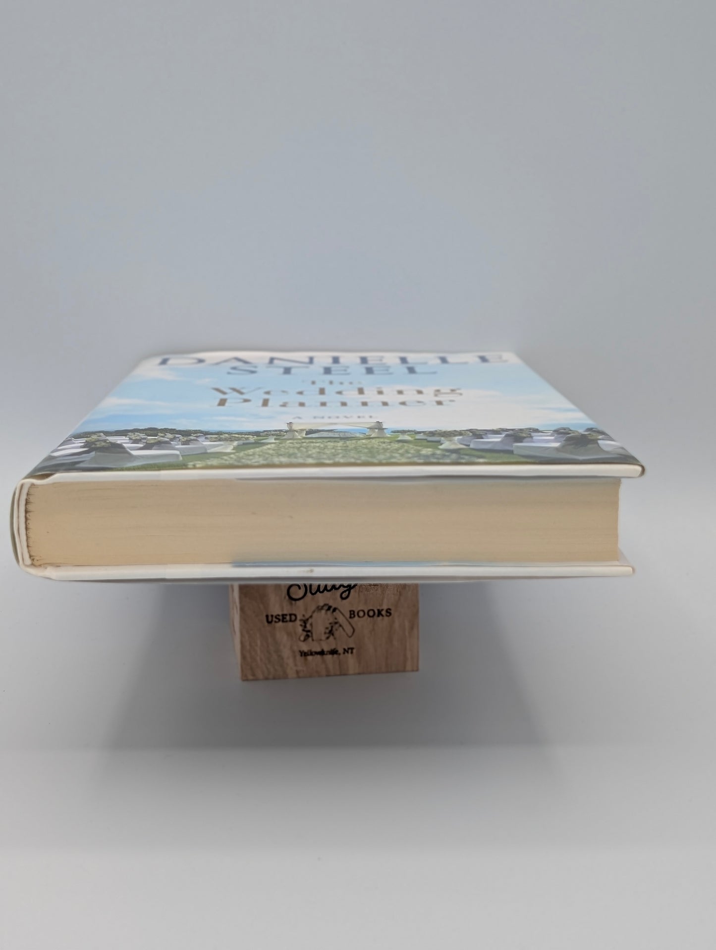 The Wedding Planner: A Novel