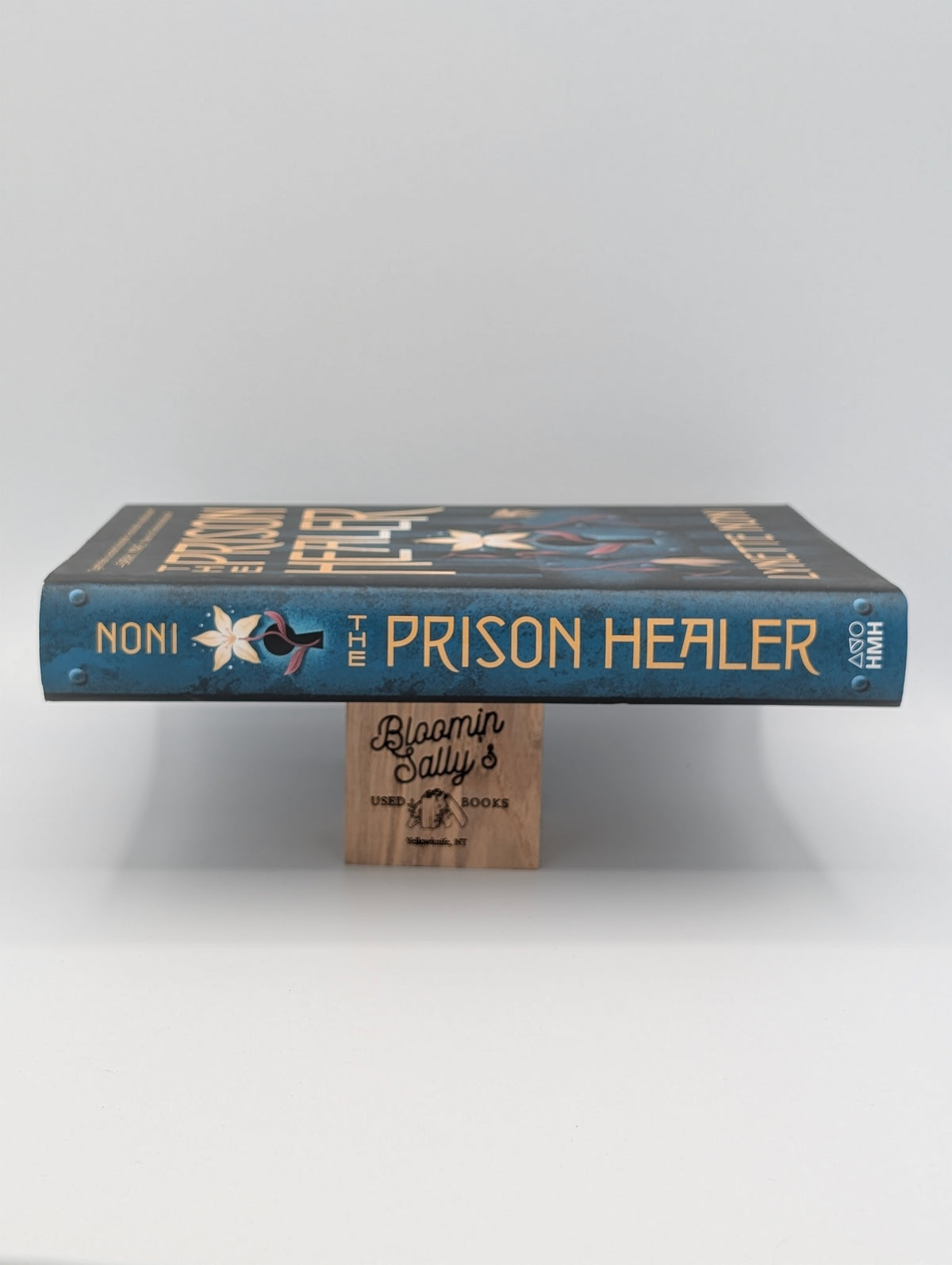 The Prison Healer: A Dark Fantasy Adventure About Deadly Trials, Rebellion, and Survival