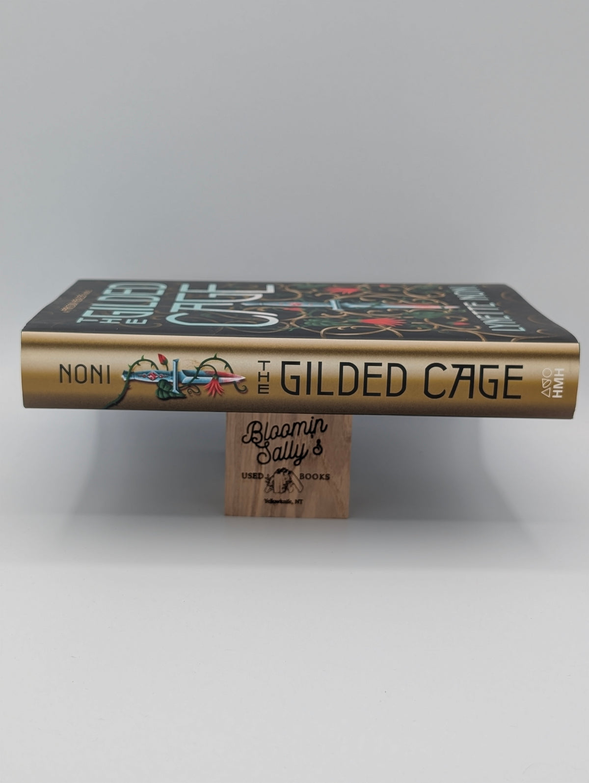 The Gilded Cage (The Prison Healer, 2)