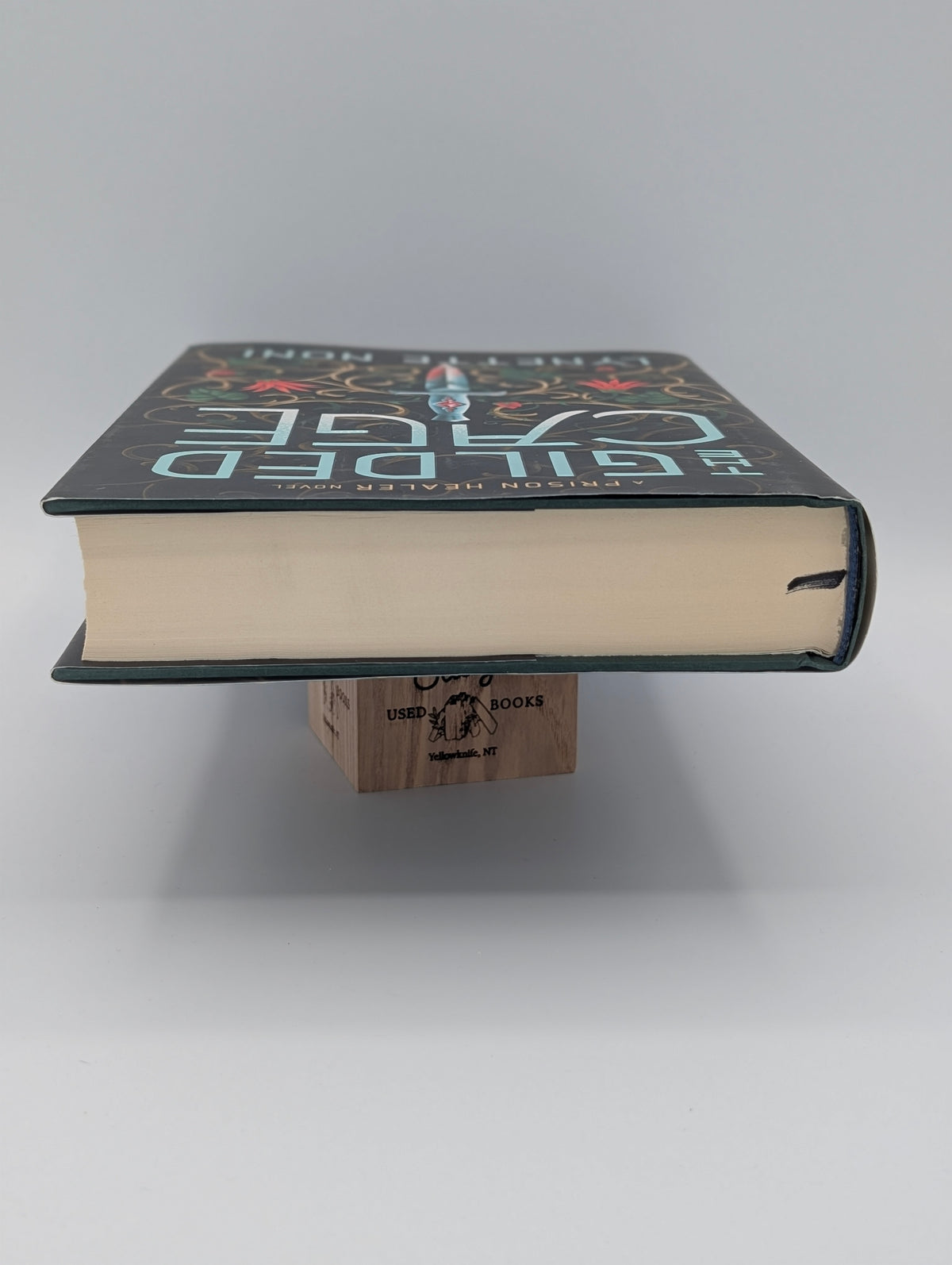 The Gilded Cage (The Prison Healer, 2)