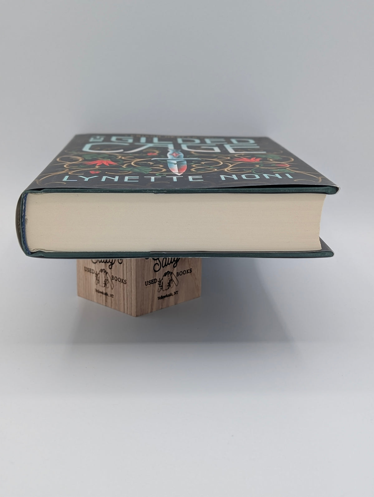 The Gilded Cage (The Prison Healer, 2)