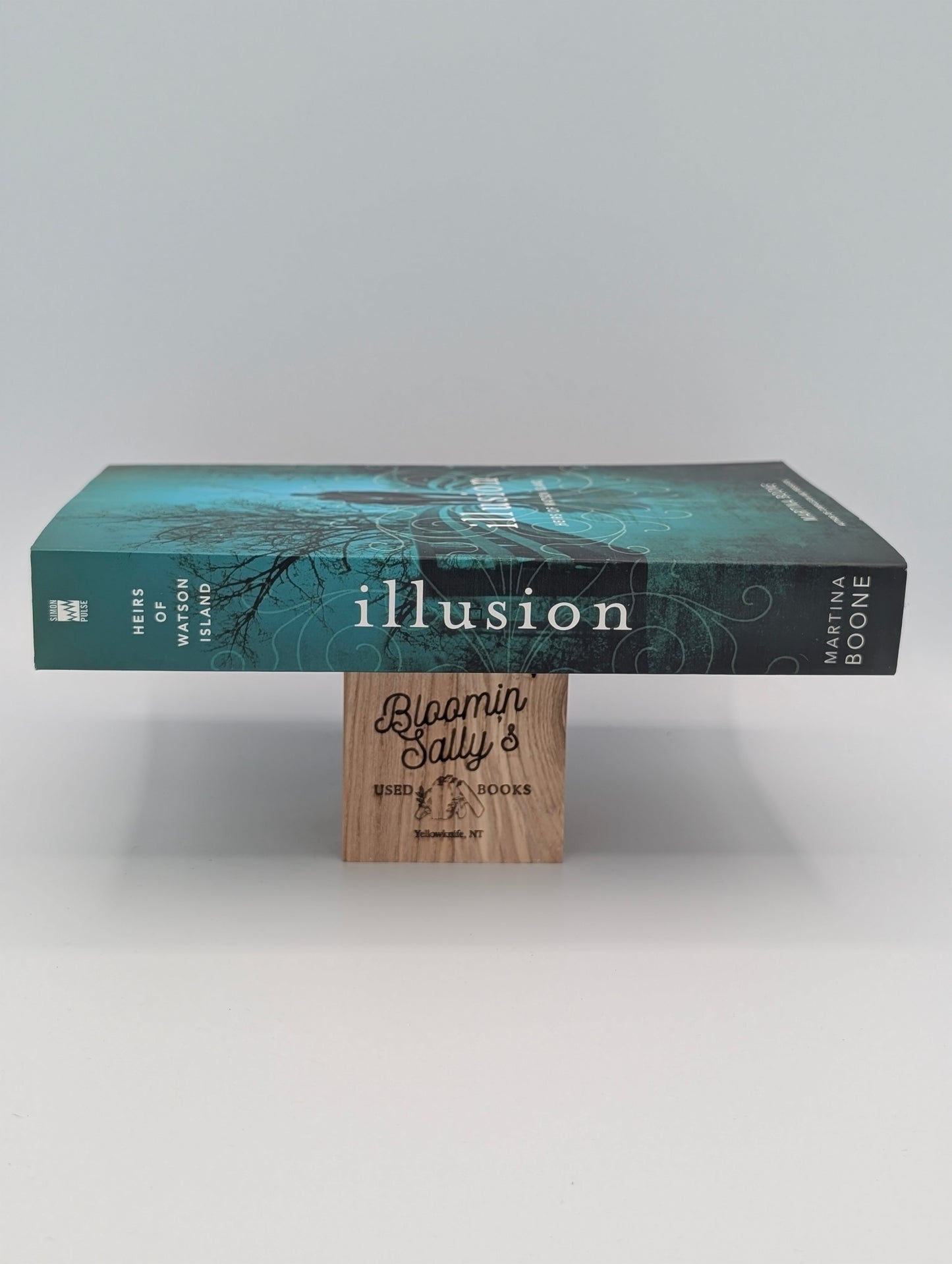 Illusion (Heirs of Watson Island)