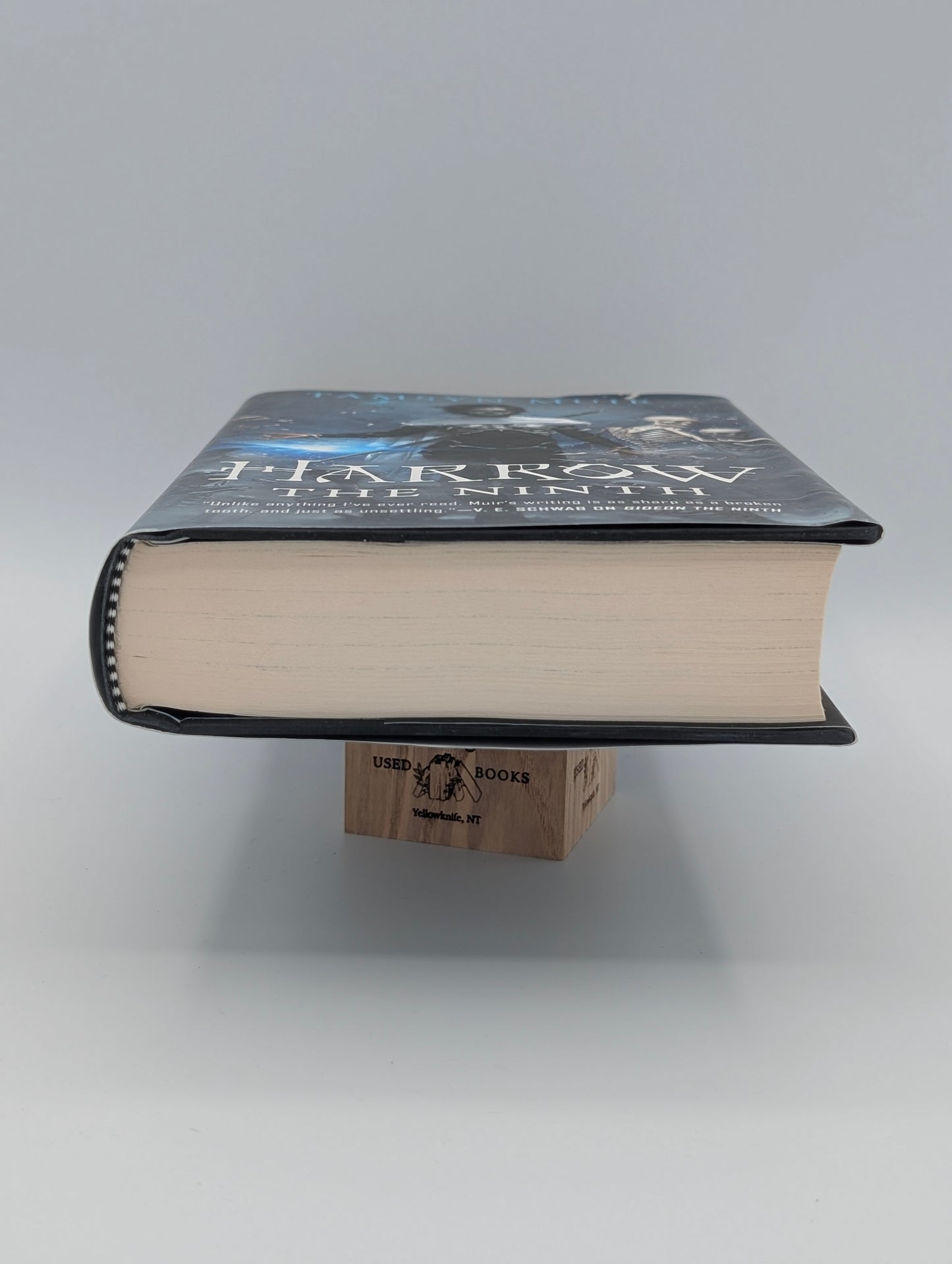 Harrow the Ninth (The Locked Tomb Series, 2)