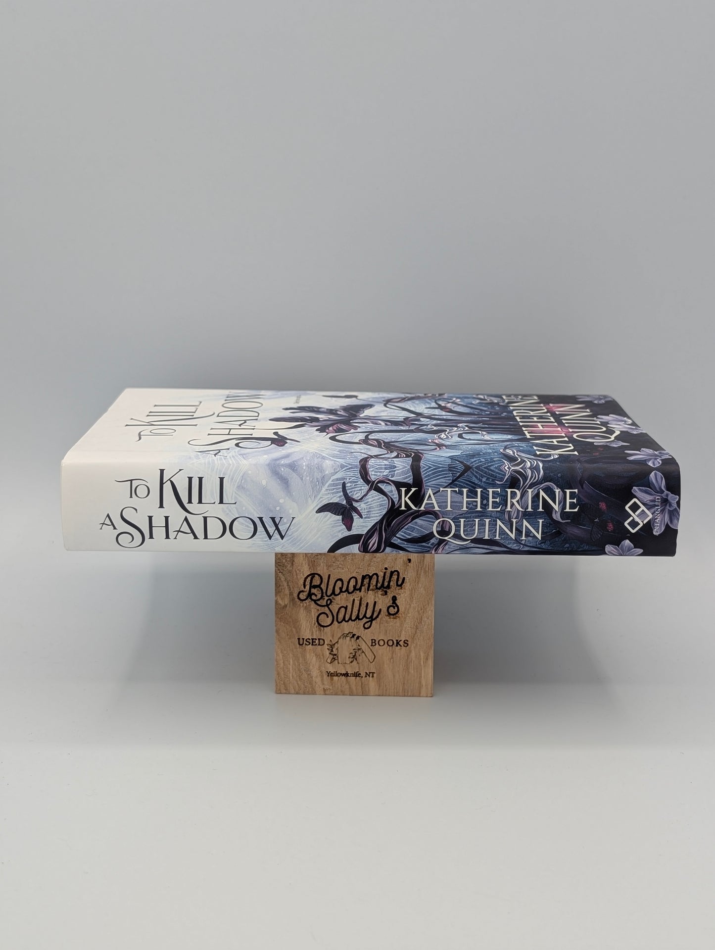 To Kill a Shadow (Mistlands, 1)