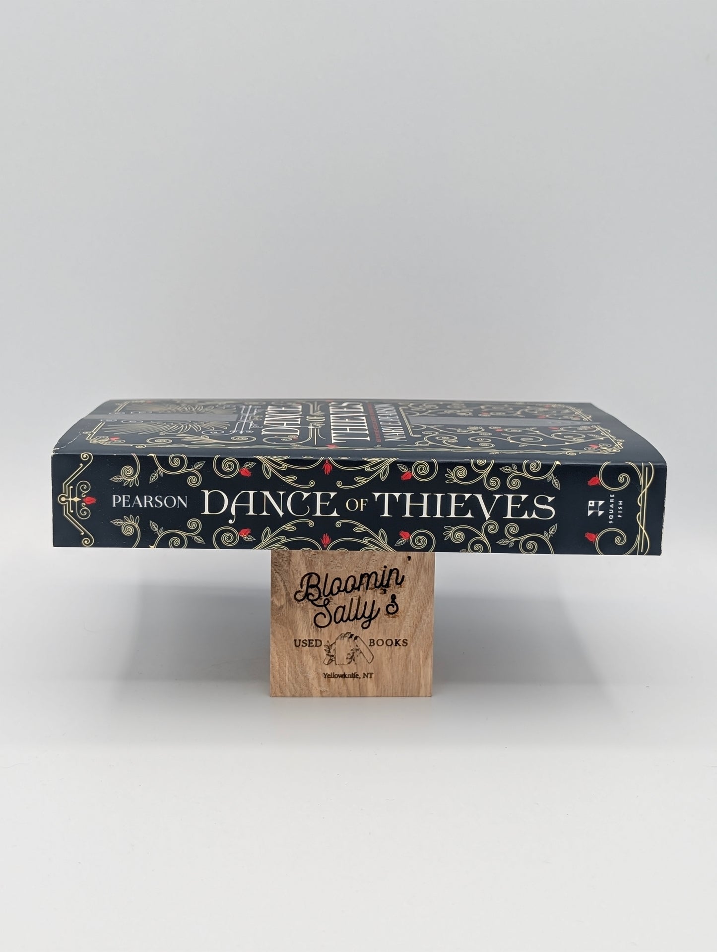 Dance of Thieves (Dance of Thieves, 1)