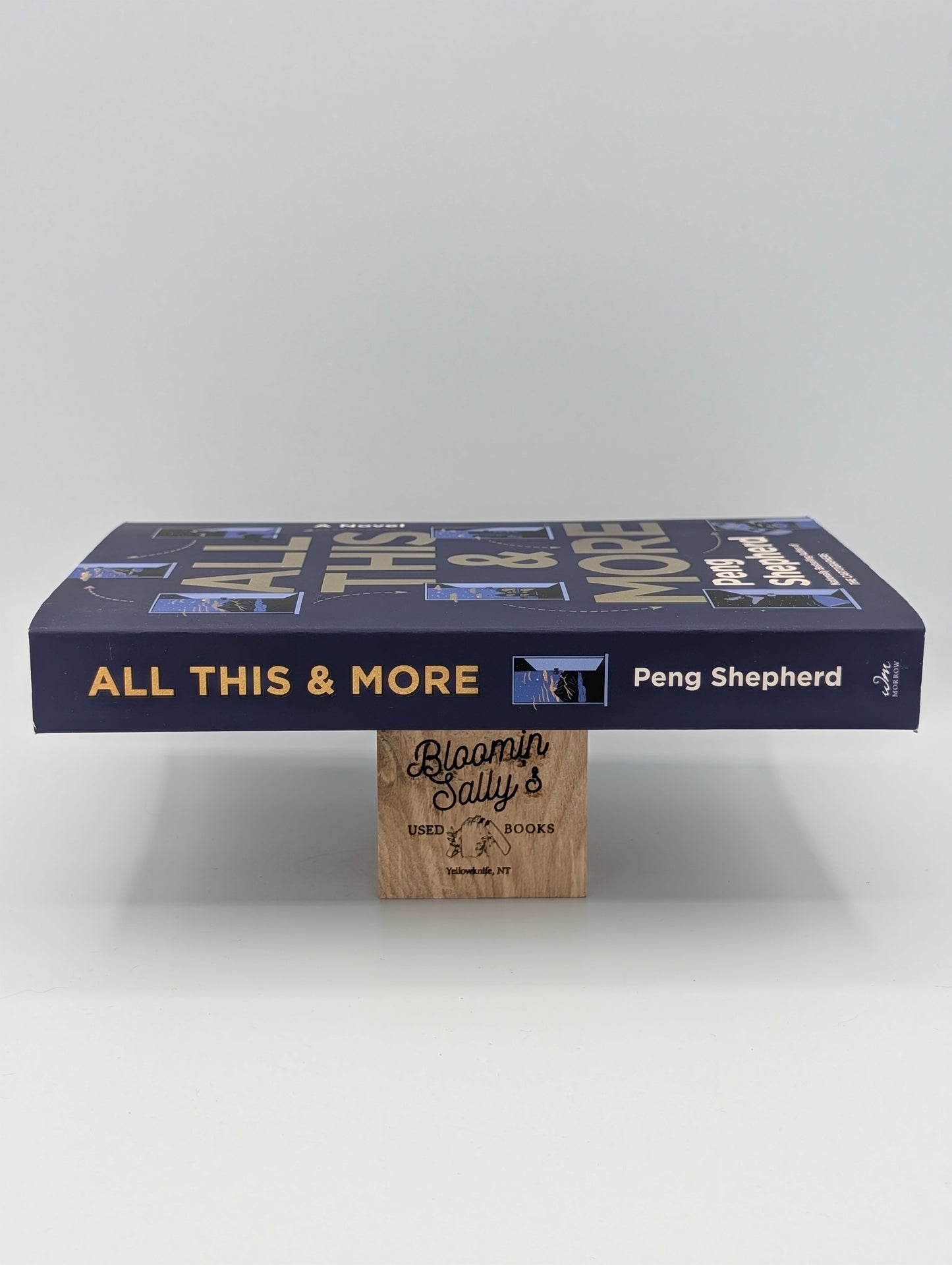 All This and More: A Novel