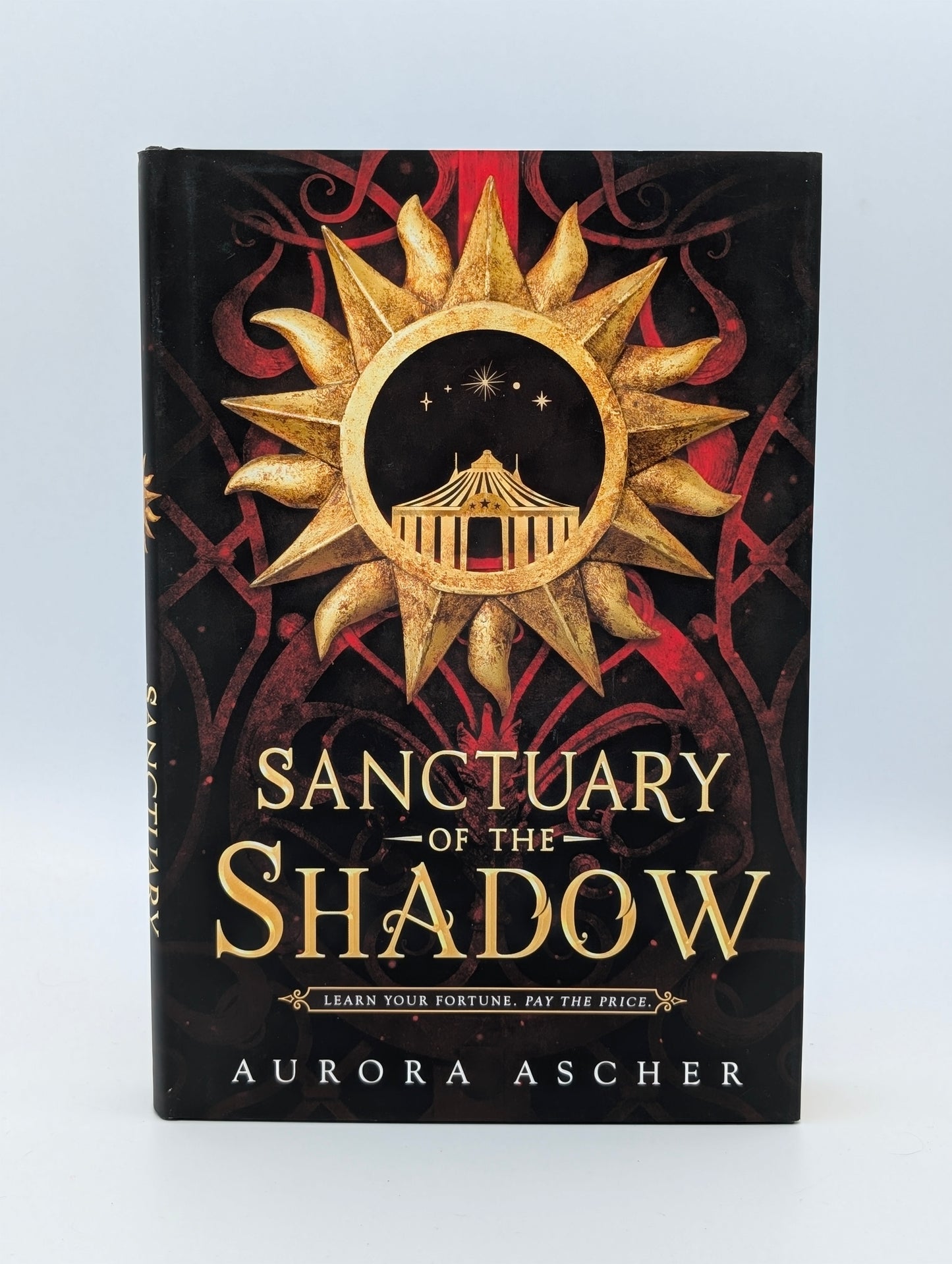 Sanctuary of the Shadow (Elemental Emergence, 1)