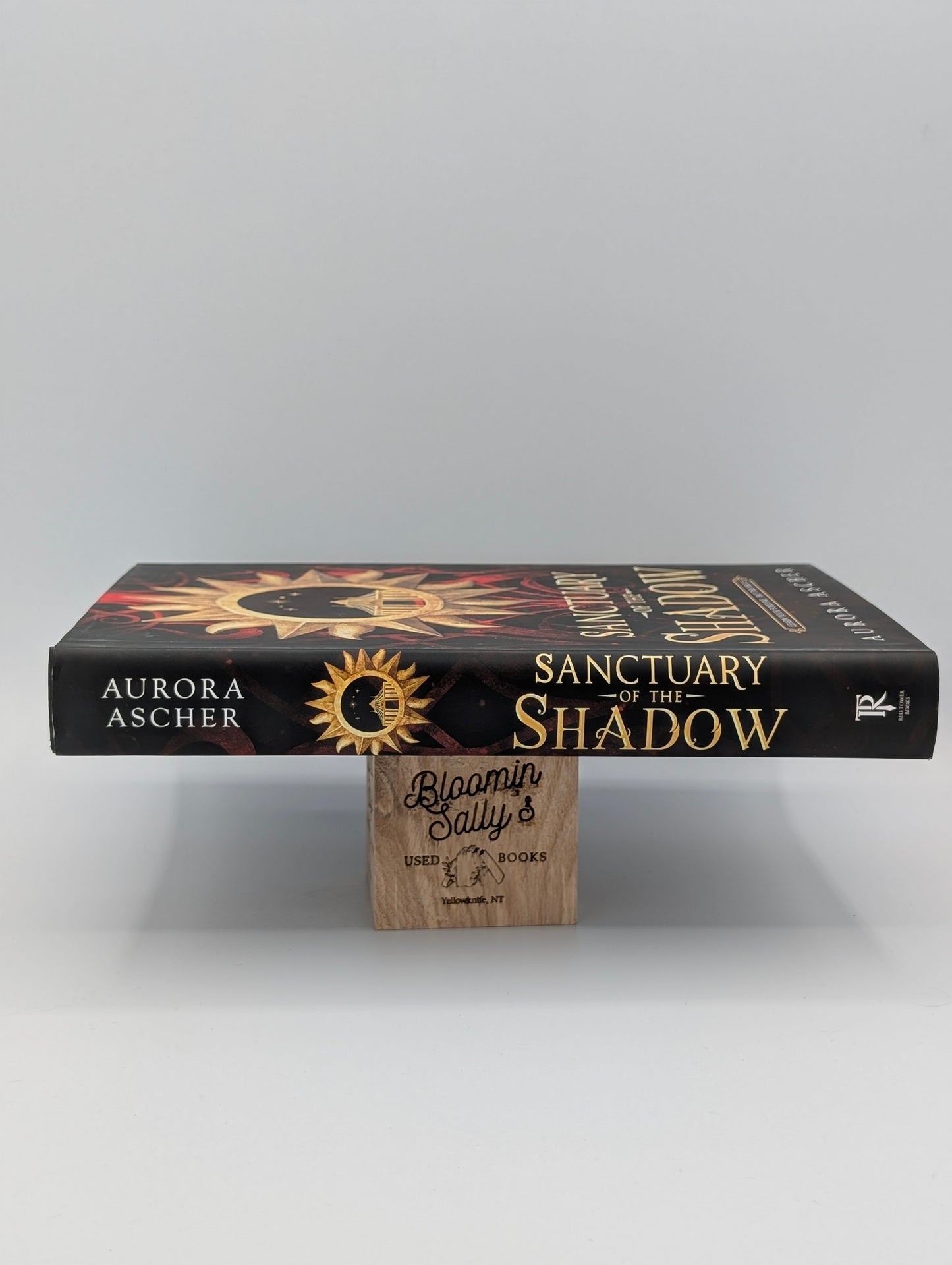 Sanctuary of the Shadow (Elemental Emergence, 1)