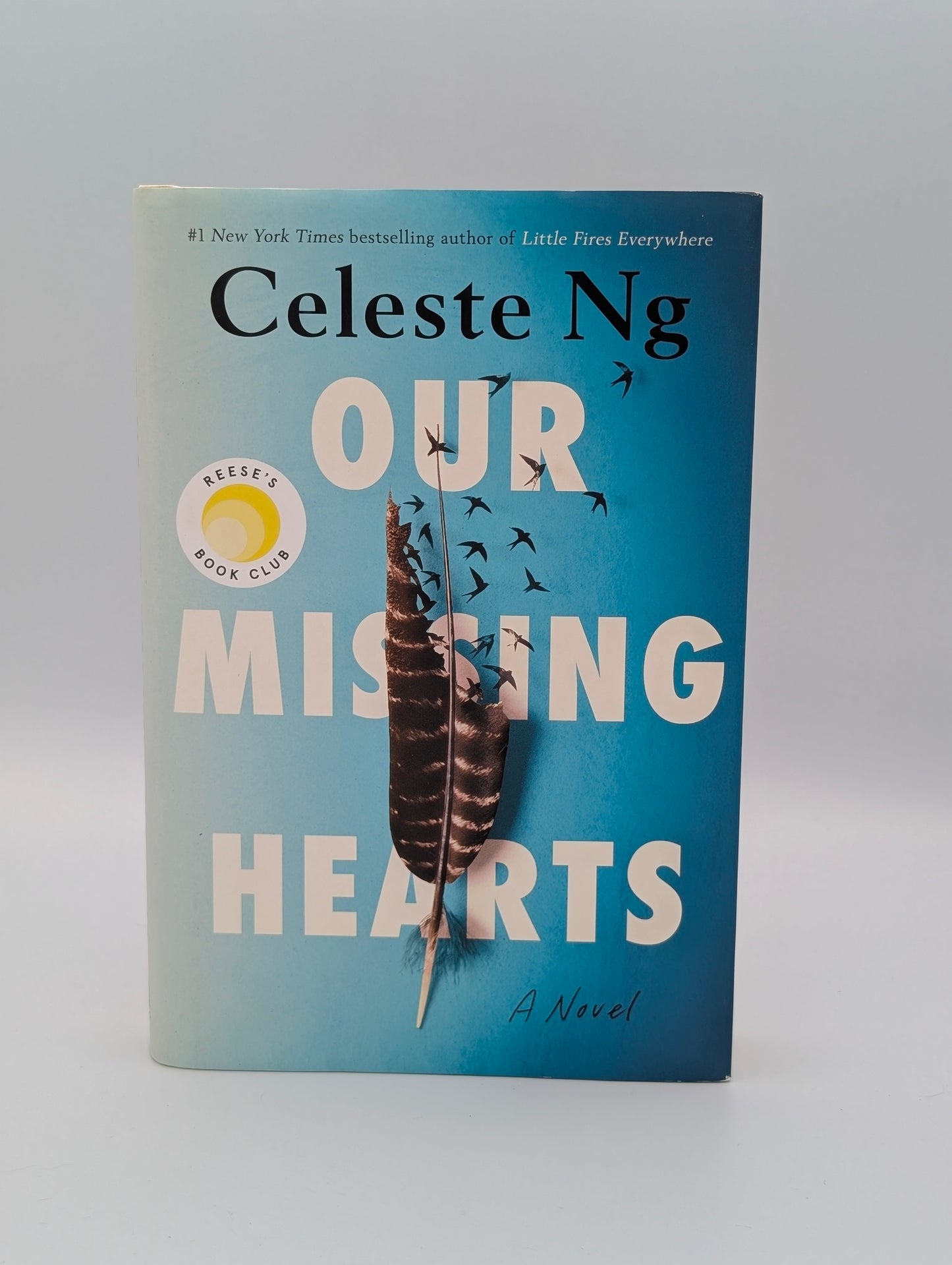 Our Missing Hearts