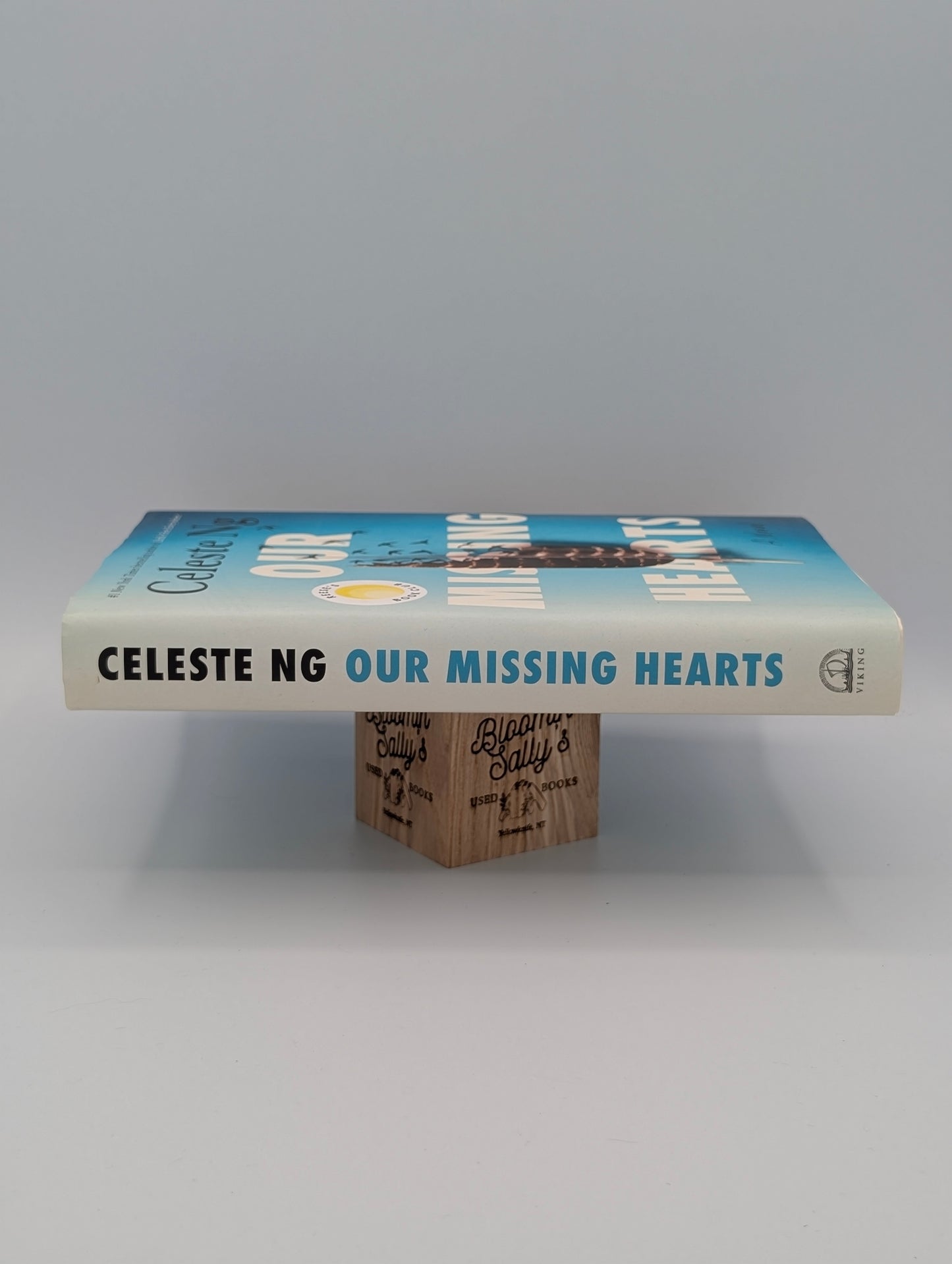 Our Missing Hearts