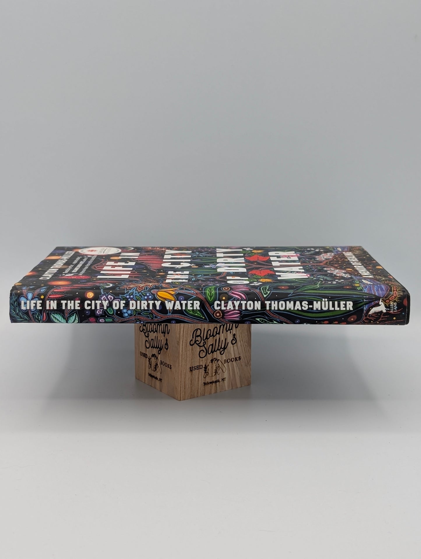 Life in the City of Dirty Water: A Memoir of Healing