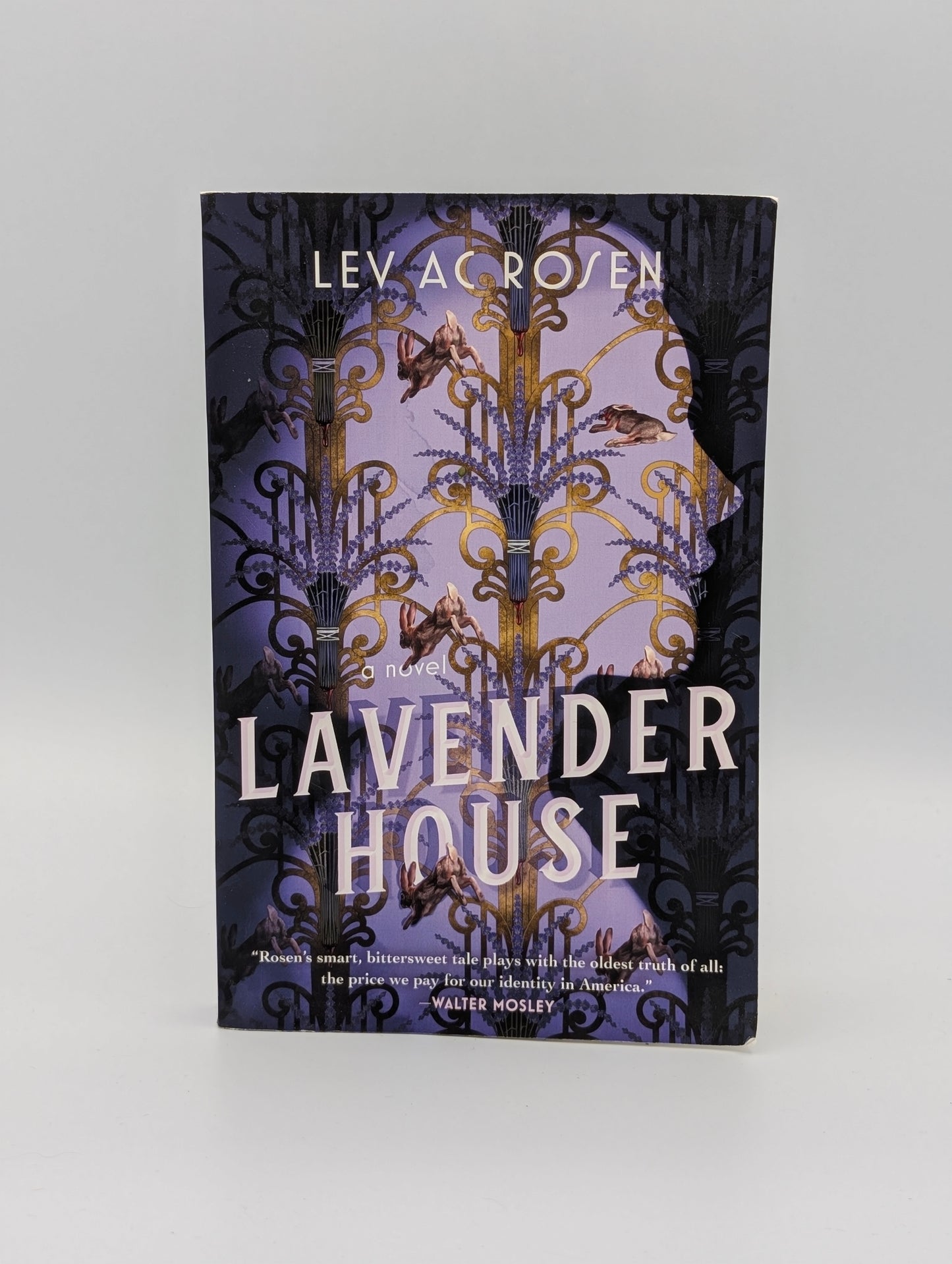Lavender House (Evander Mills, 1)