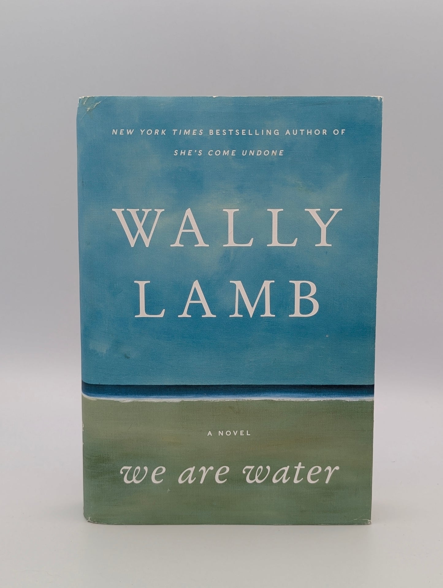 We Are Water: A Novel