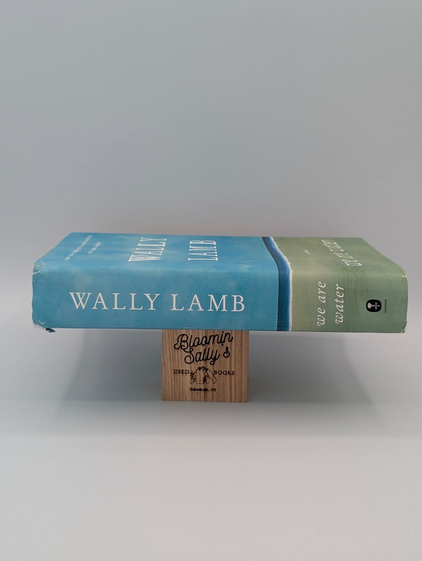 We Are Water: A Novel