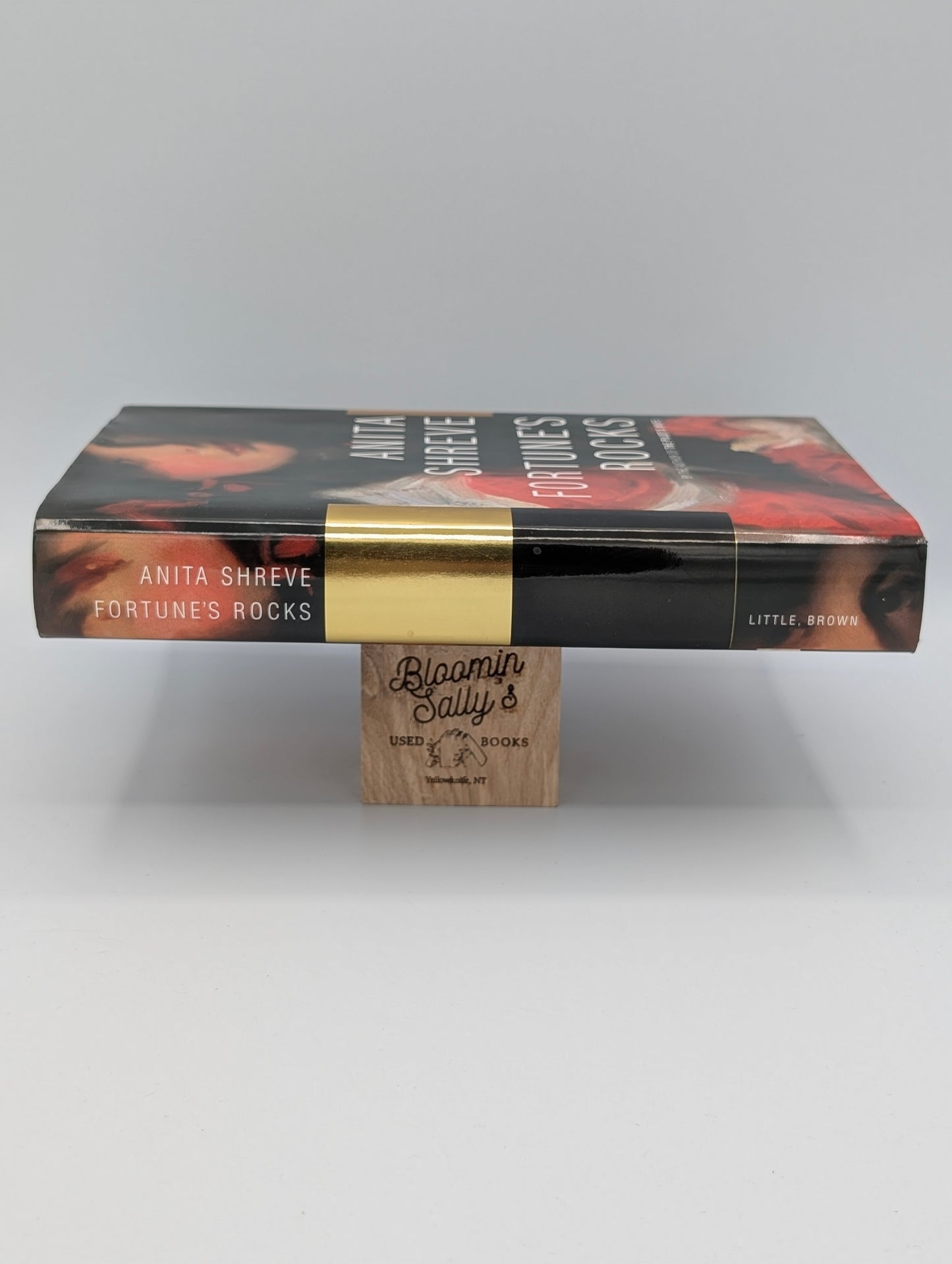Fortune's Rocks: A Novel