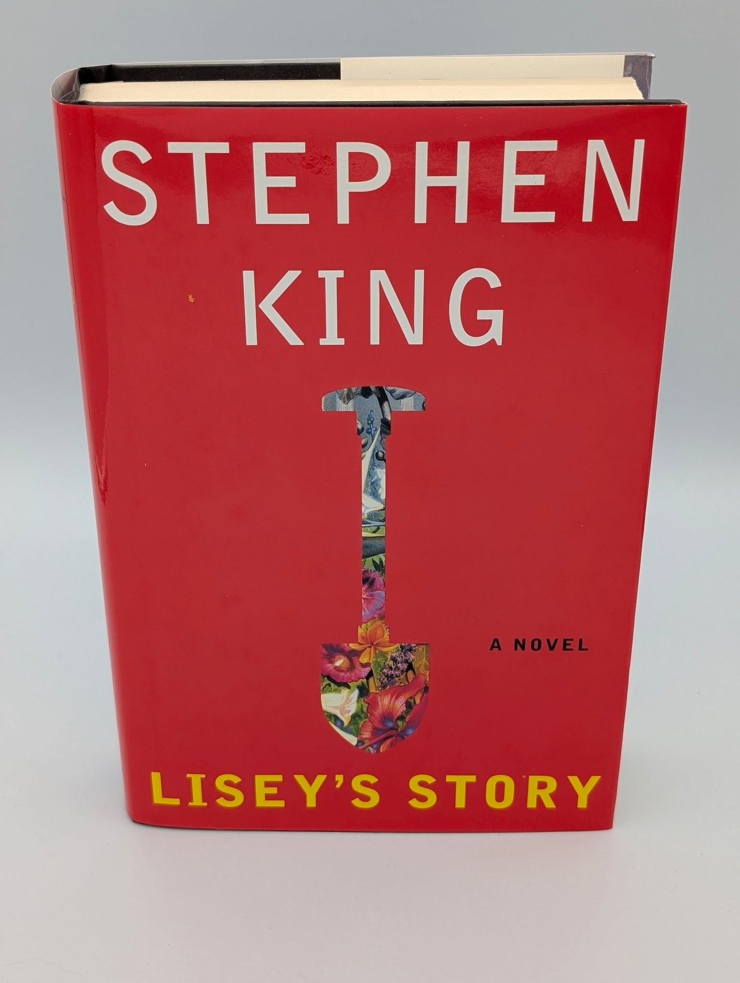 Lisey's Story