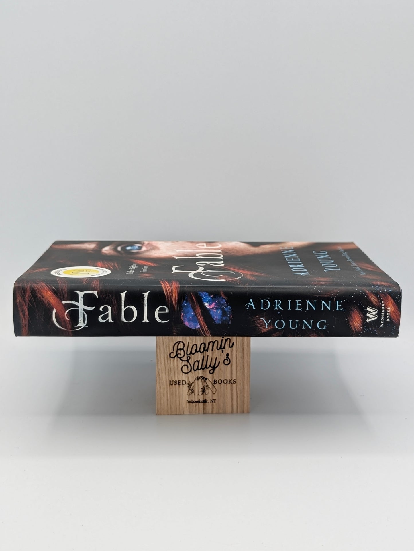 Fable: A Novel (The World of the Narrows, 1)