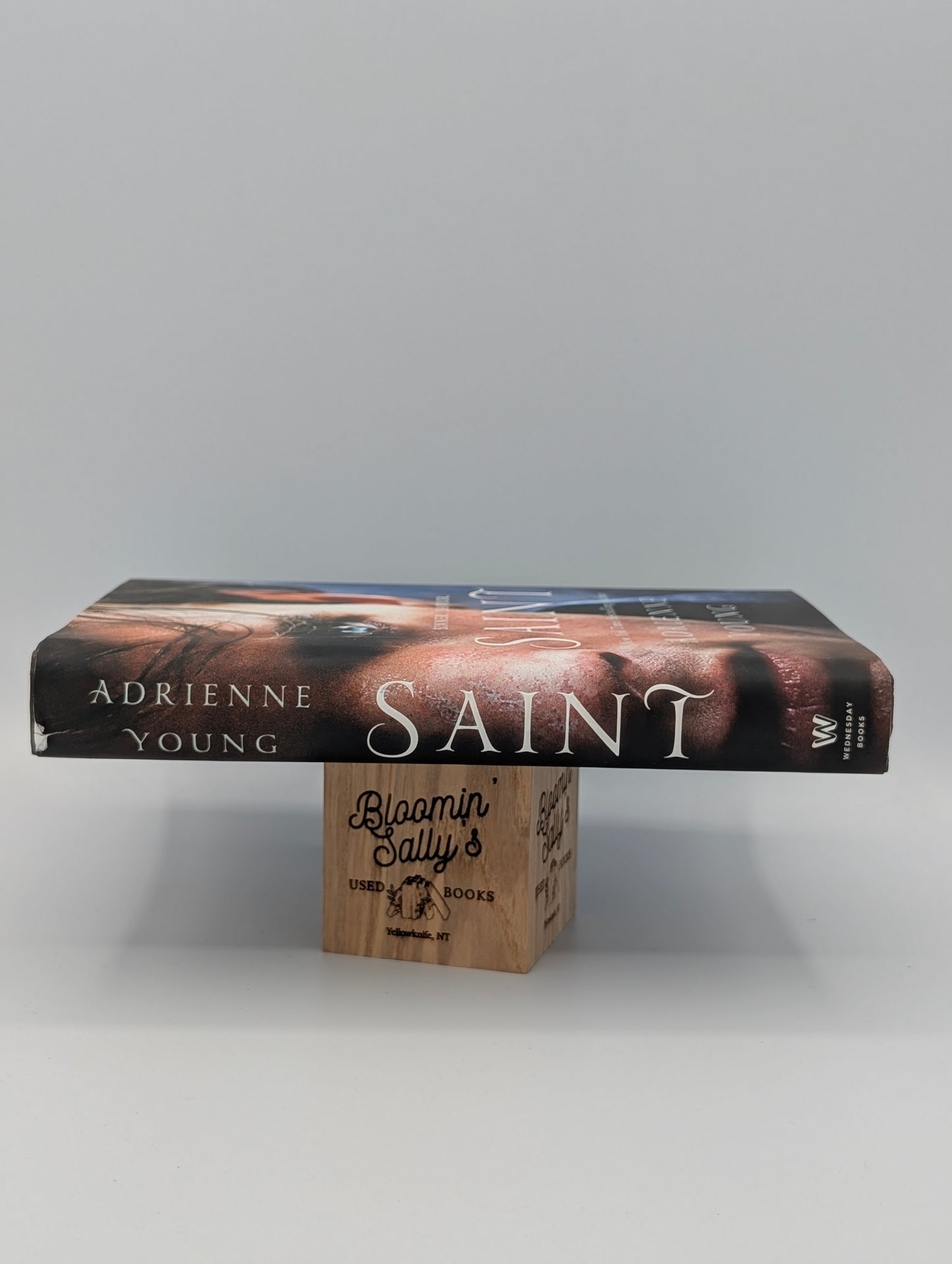 Saint: A Novel (The World of the Narrows, 4)