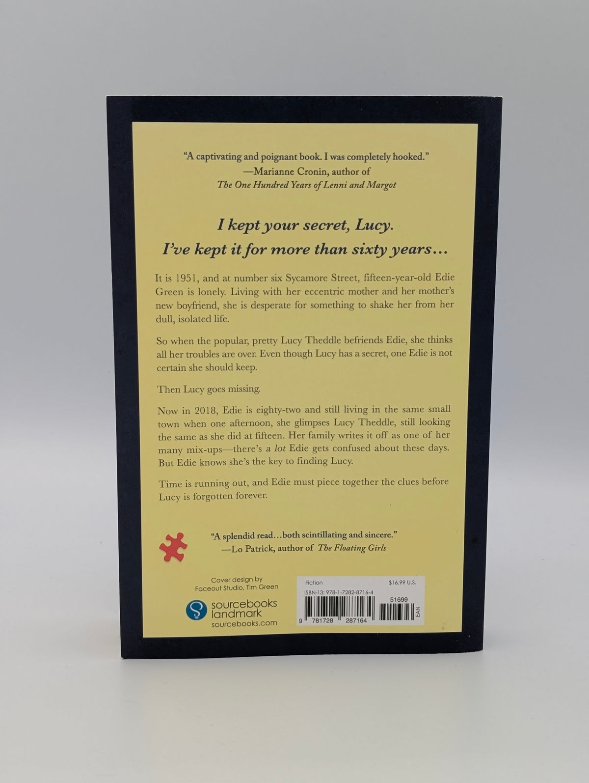 One Puzzling Afternoon: A Novel of Lost Friendship and Long-Buried Truths