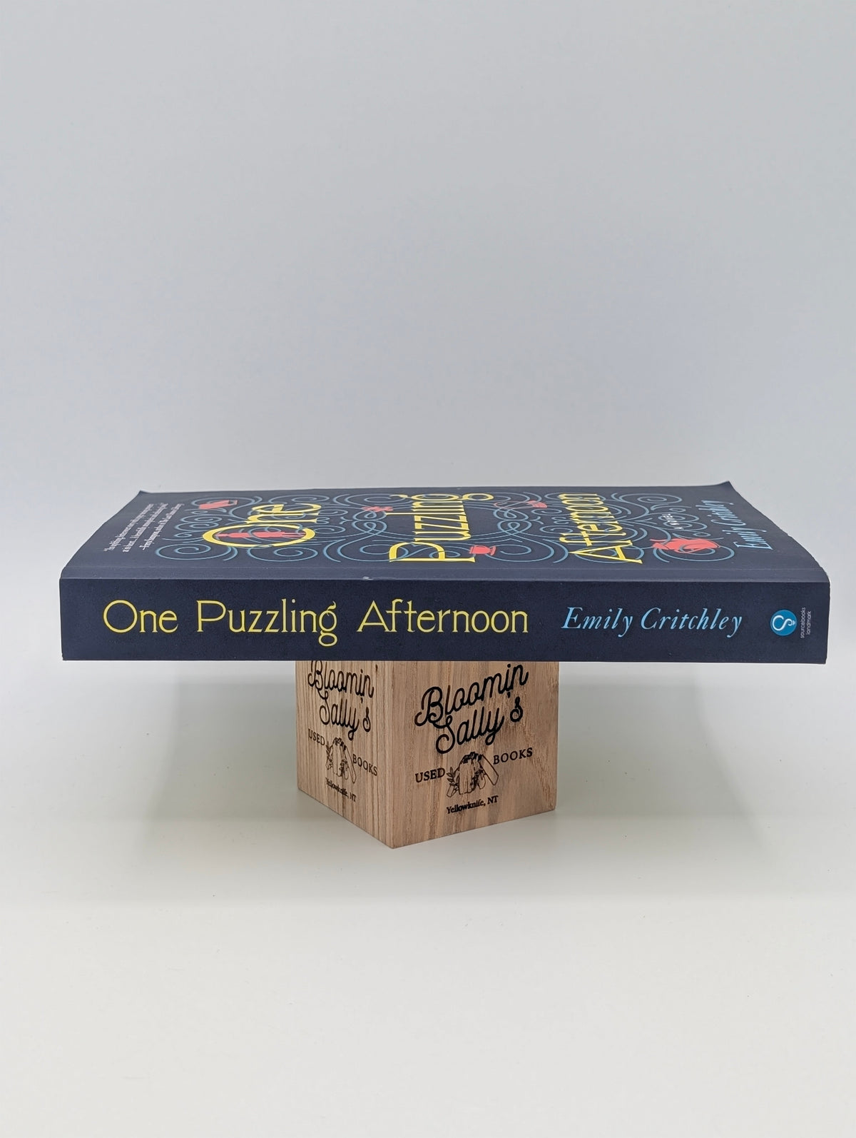 One Puzzling Afternoon: A Novel of Lost Friendship and Long-Buried Truths