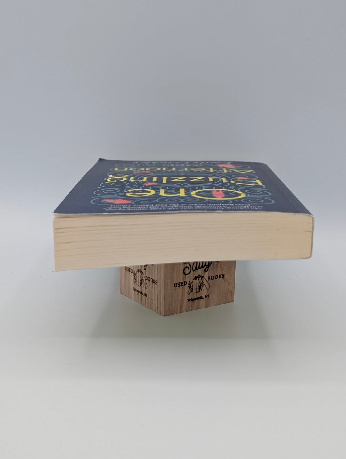 One Puzzling Afternoon: A Novel of Lost Friendship and Long-Buried Truths