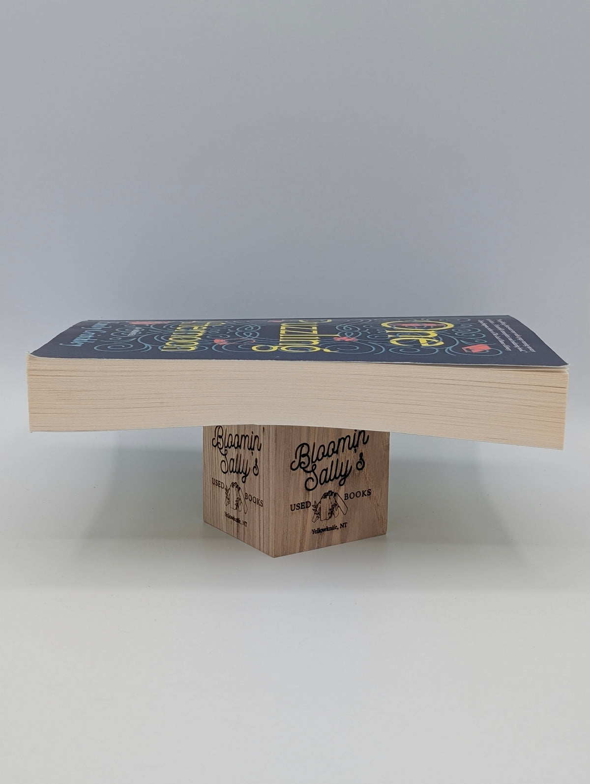 One Puzzling Afternoon: A Novel of Lost Friendship and Long-Buried Truths