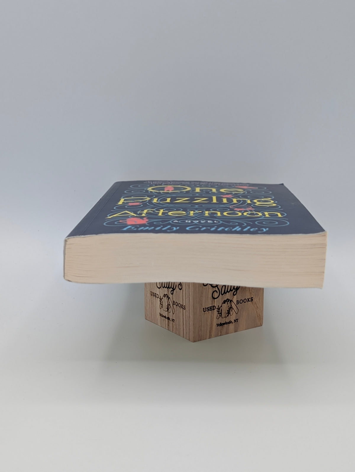 One Puzzling Afternoon: A Novel of Lost Friendship and Long-Buried Truths