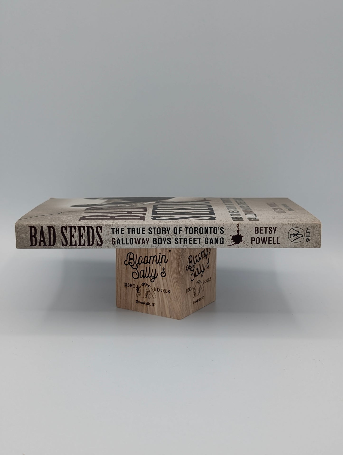 Bad Seeds: The True Story of Toronto's Galloway Boys Street Gang