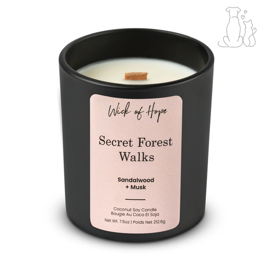 Secret Forest Walks Candle | Sandalwood + Musk