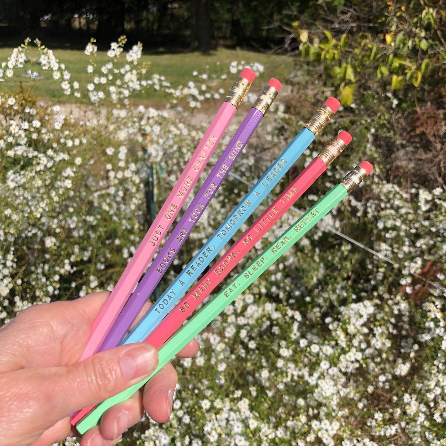 Ensemble de crayons pour amoureux des livres