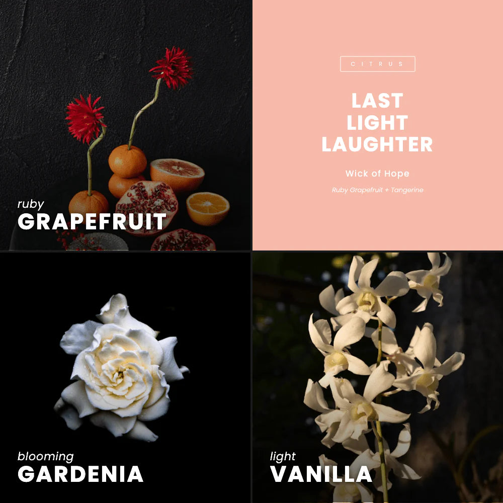 Last Light Laughter Wax Melt | Ruby Grapefruit + Tangerine