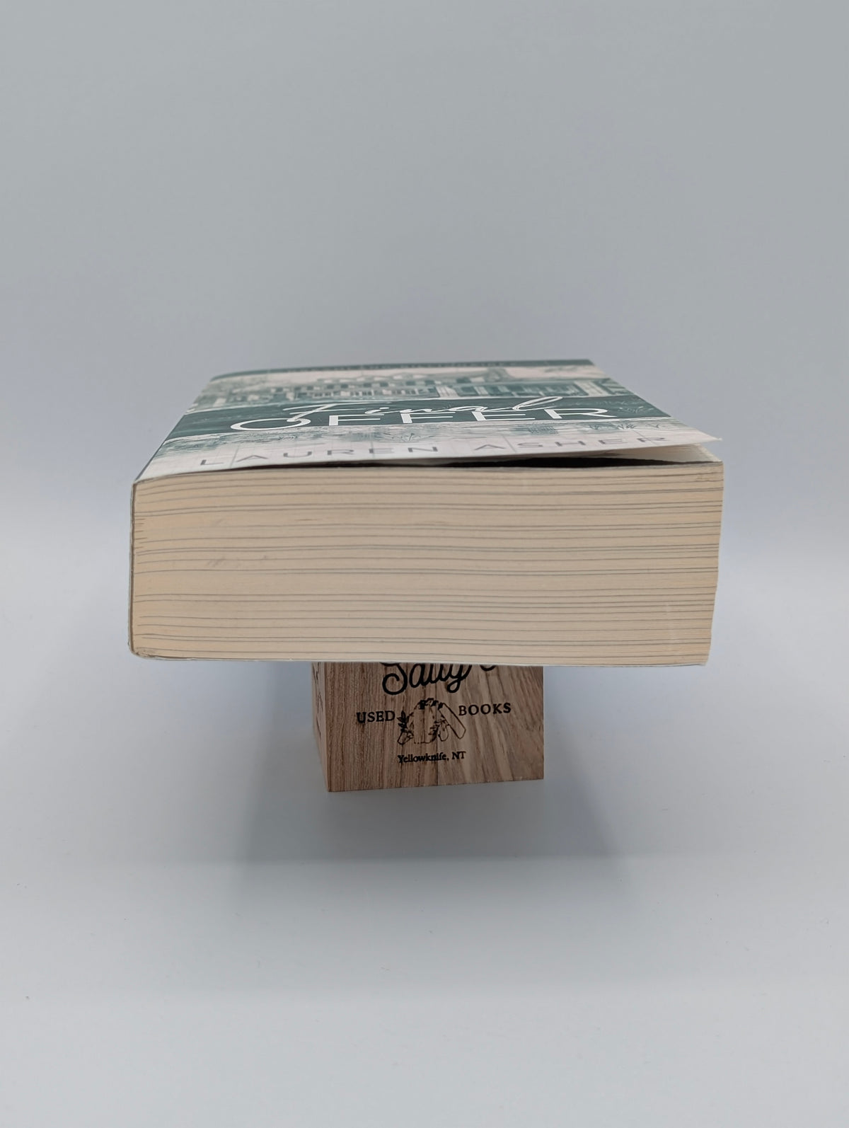 Final Offer (Dreamland Billionaires, 3)