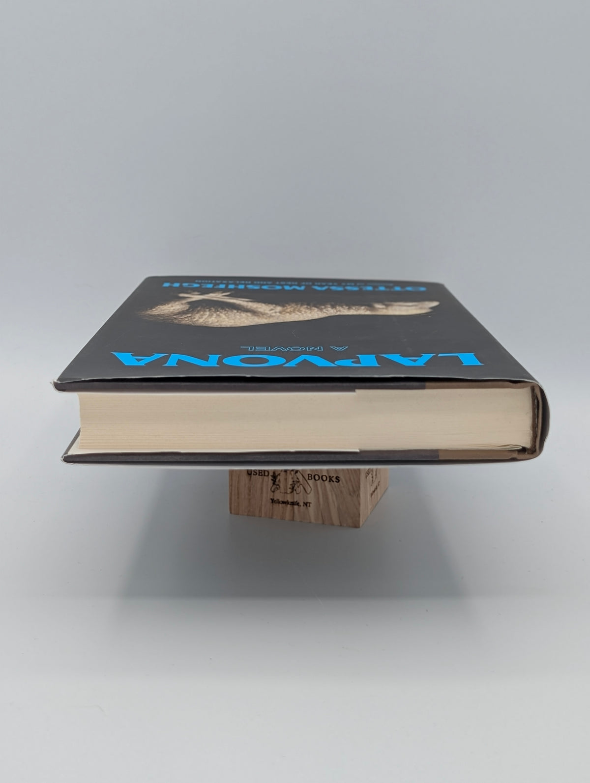 Lapvona: A Novel