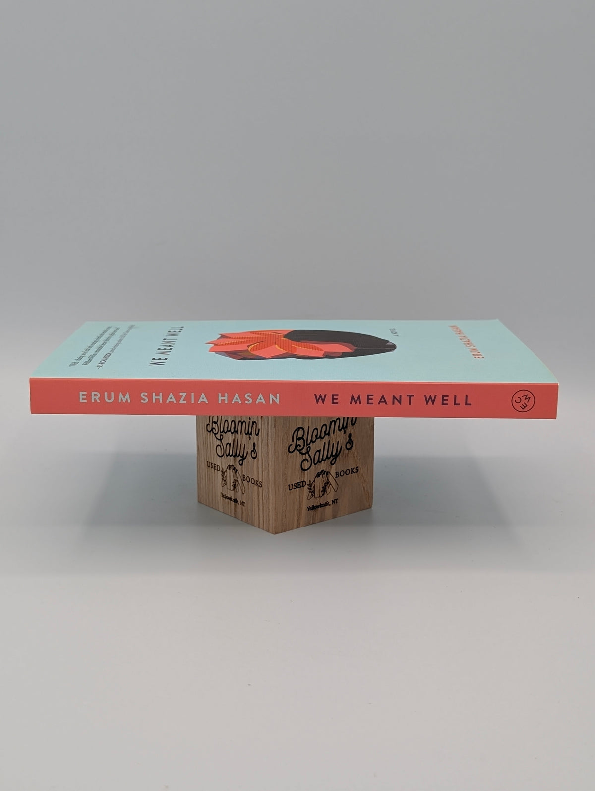 We Meant Well: A Novel