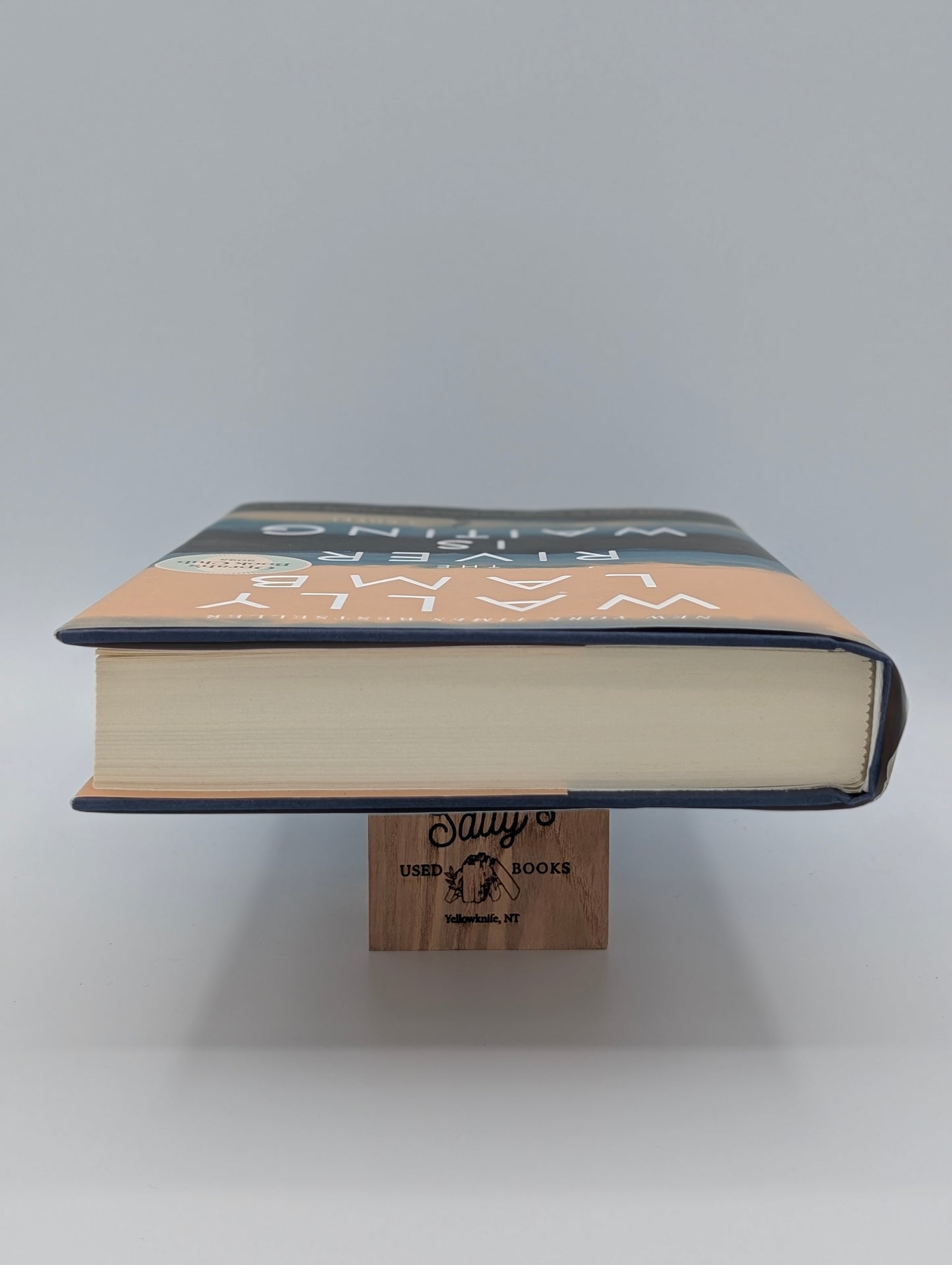 The River Is Waiting: A Novel