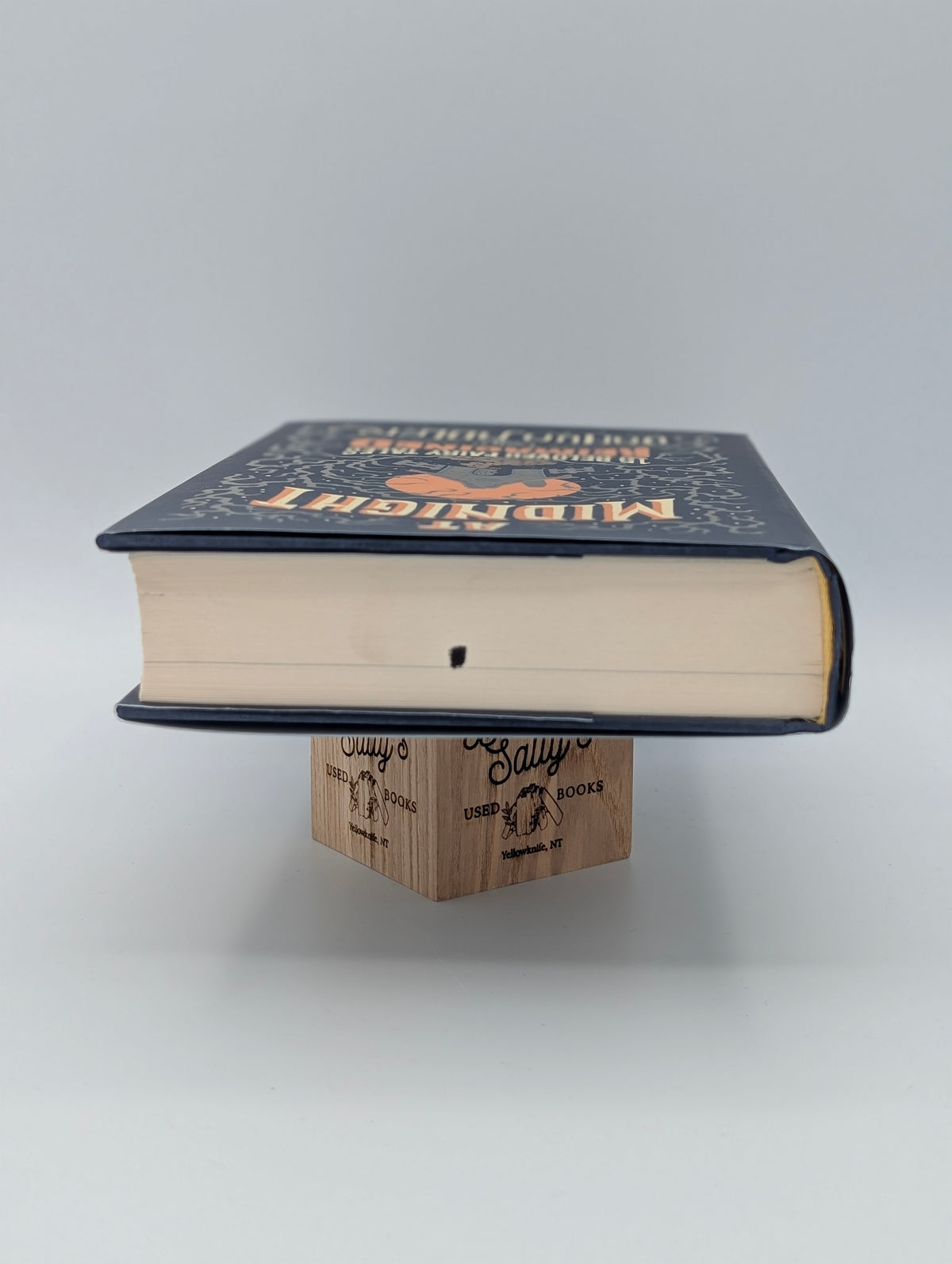 At Midnight: 15 Beloved Fairy Tales Reimagined
