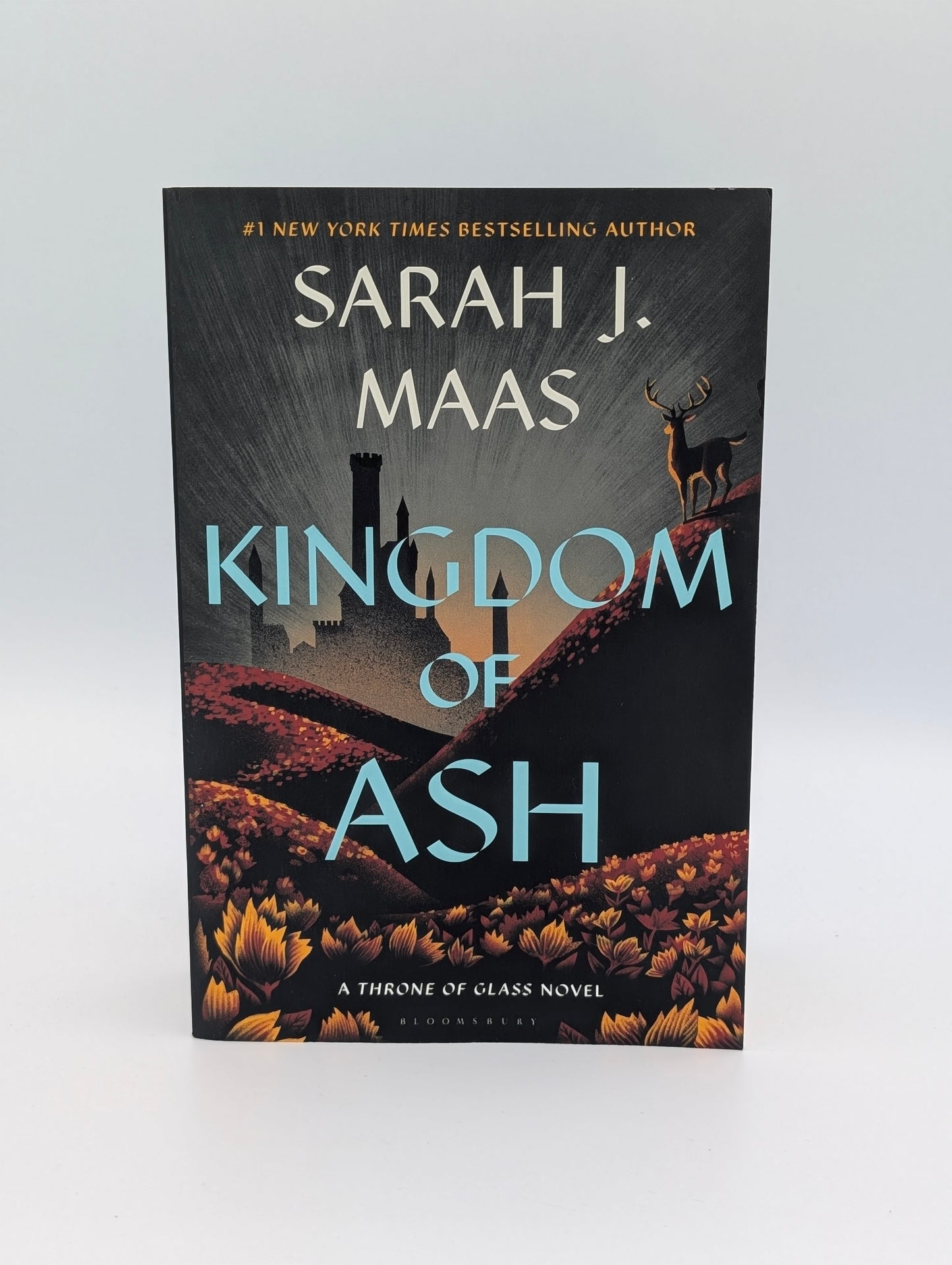 Kingdom of Ash (Throne of Glass, 7)