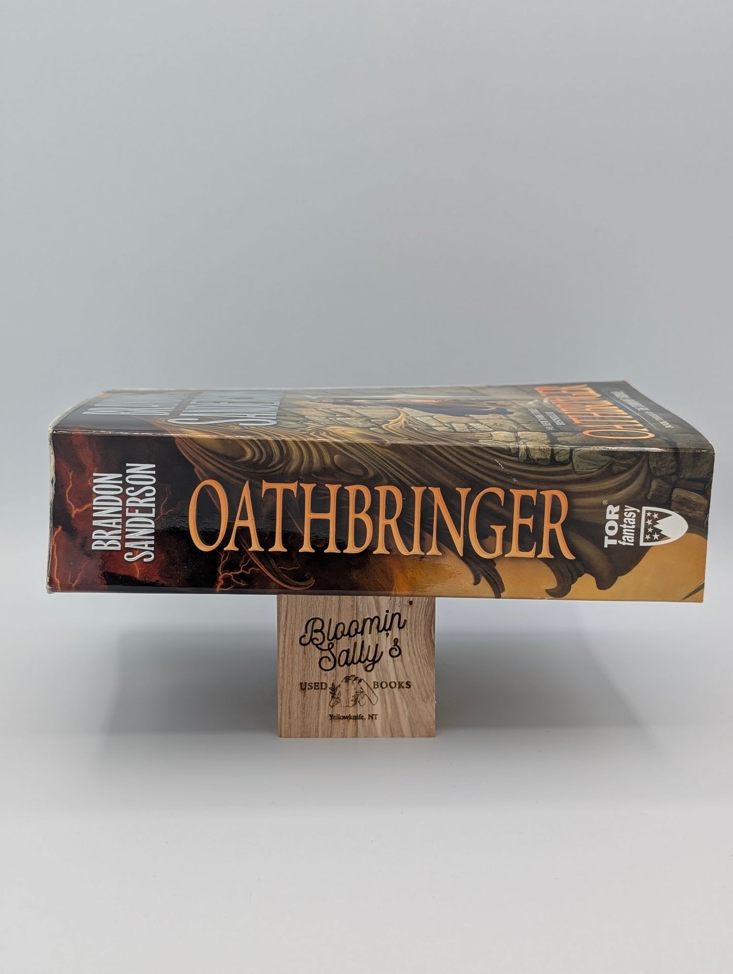Oathbringer: Book Three of the Stormlight Archive (The Stormlight Archive, 3)