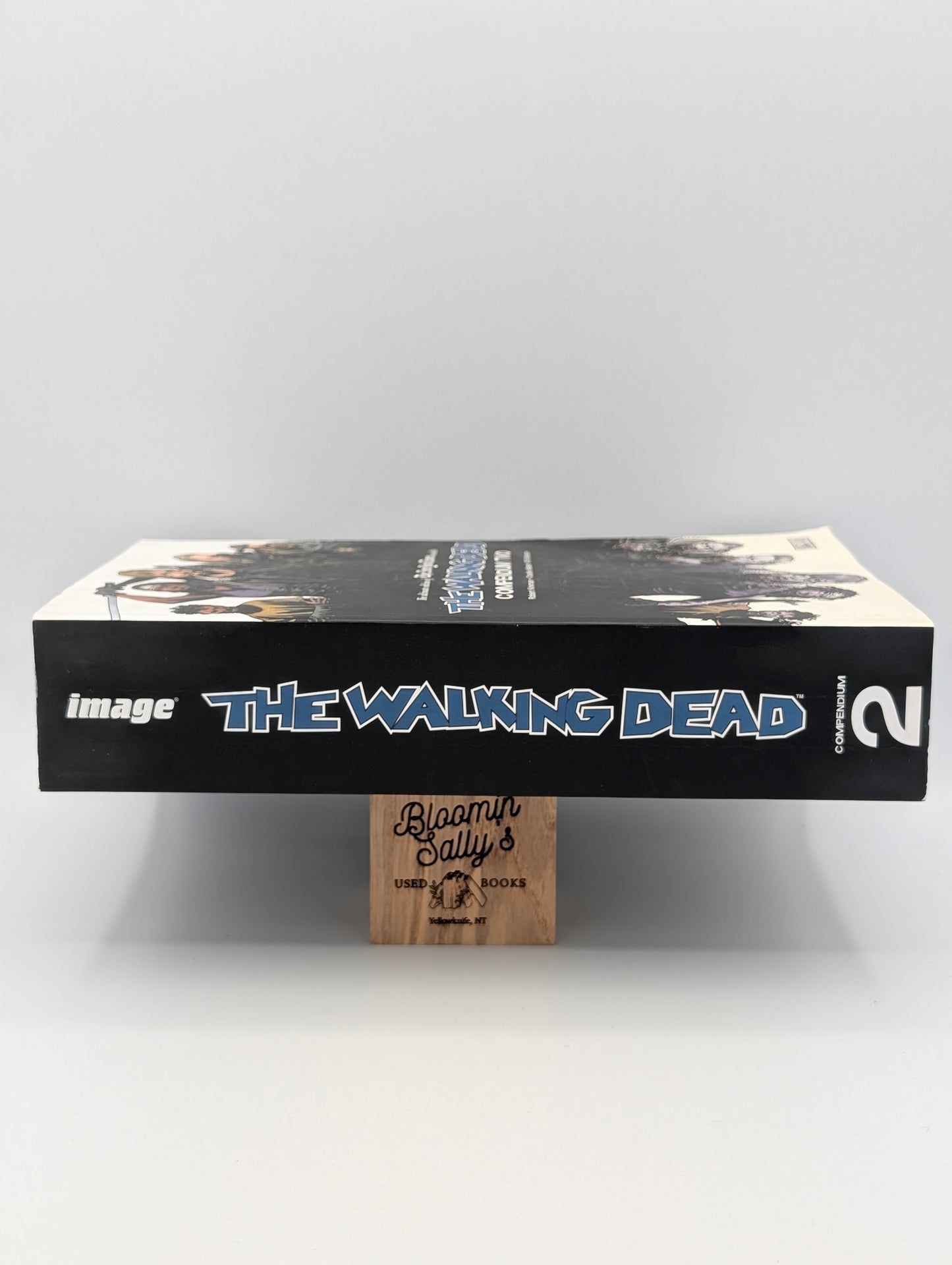 The Walking Dead: Compendium Two